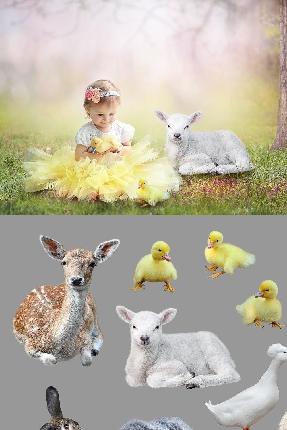 Spring Backdrop + Animals pinterest preview image.