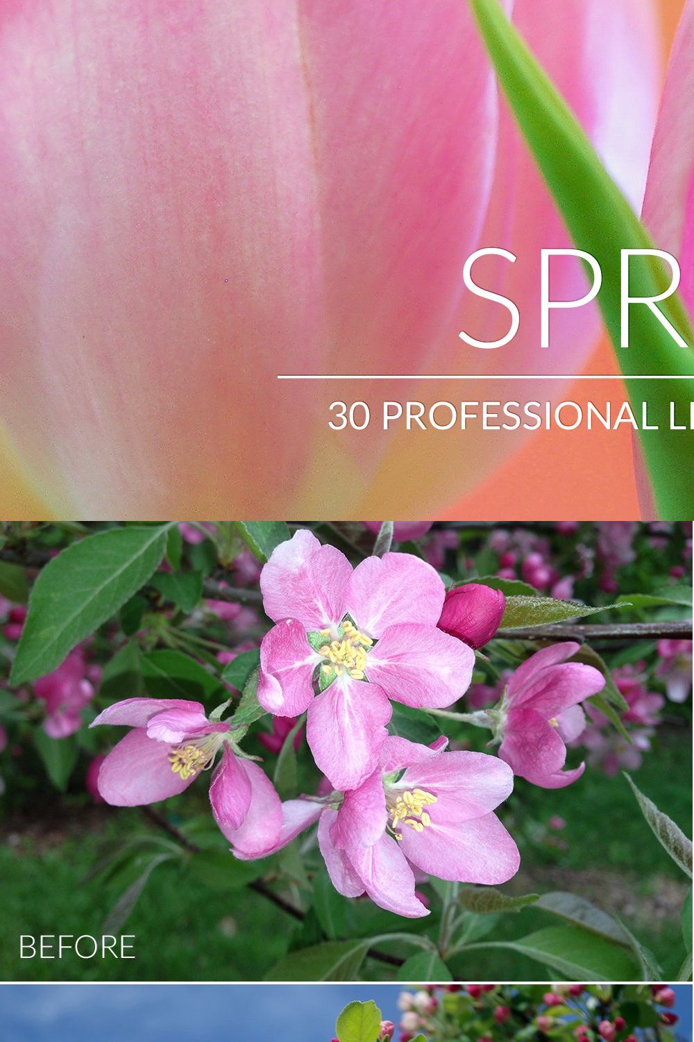 Spring Lr Presets pinterest preview image.