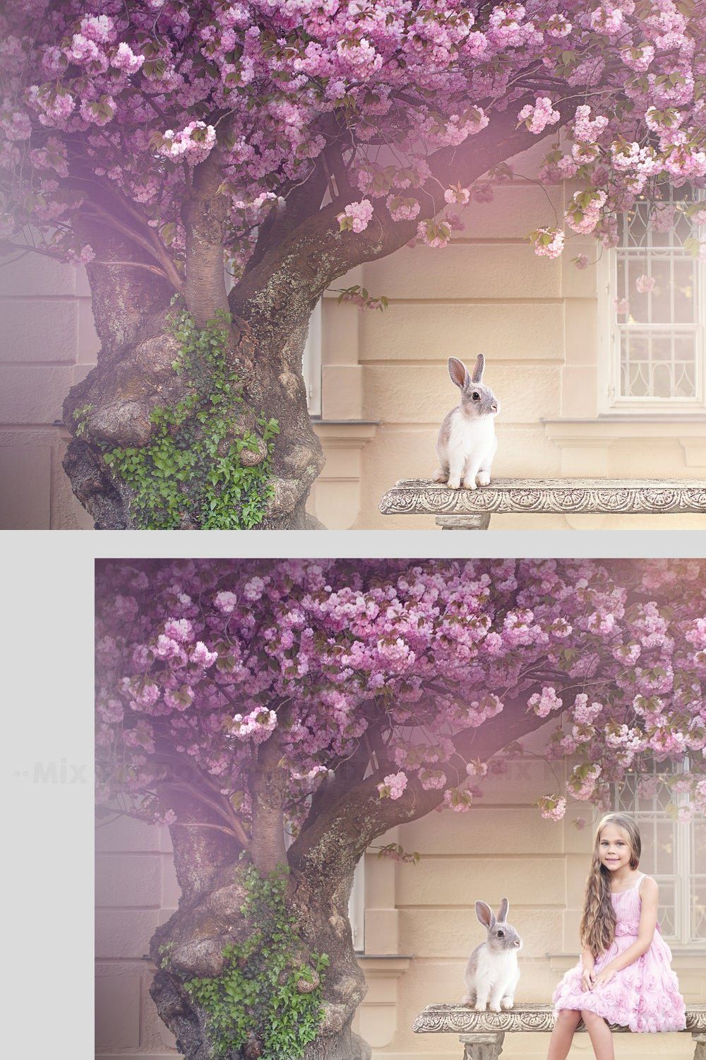 Spring Morning Backdrop pinterest preview image.