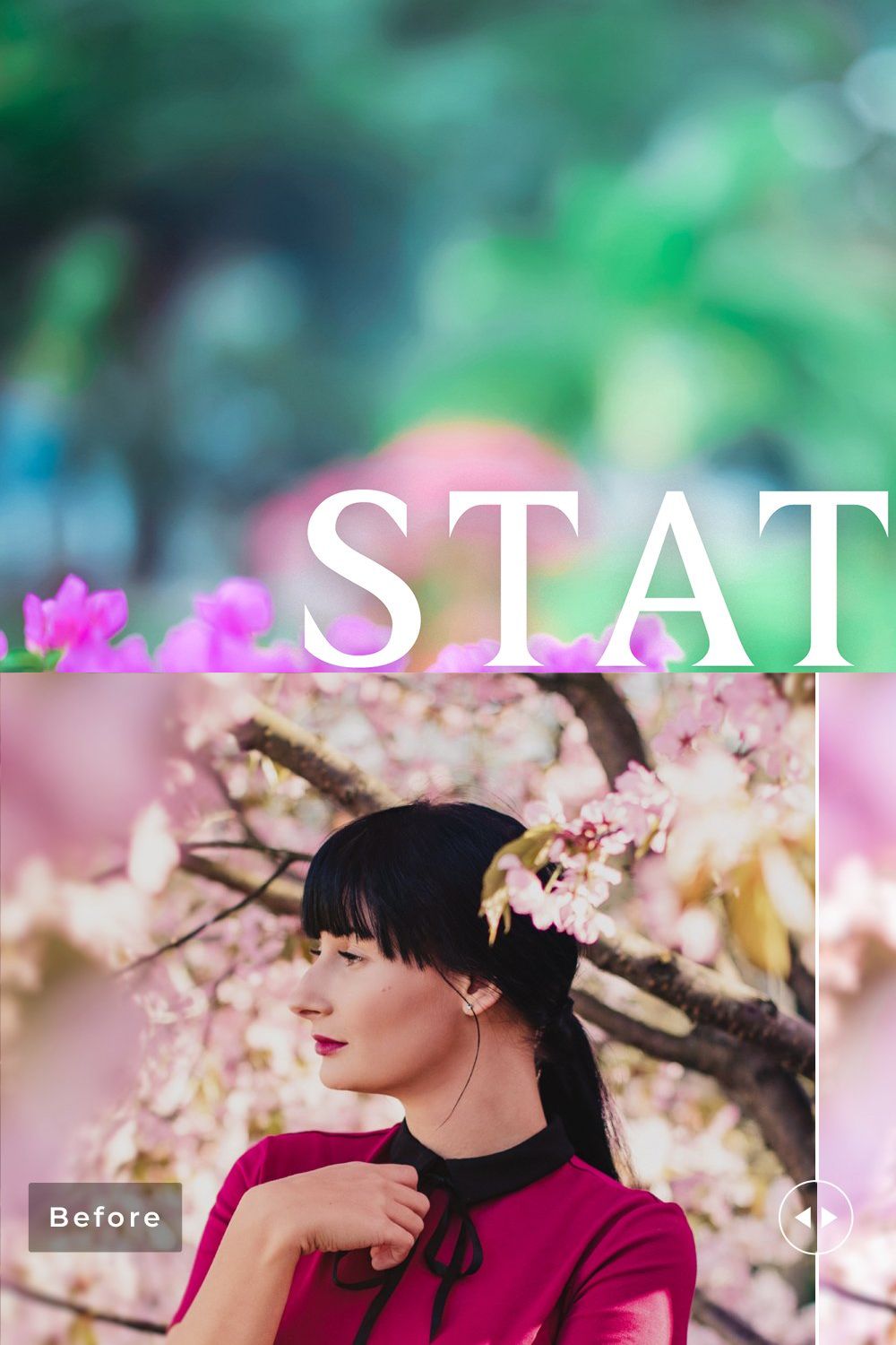 Statice Pro Lightroom Presets pinterest preview image.