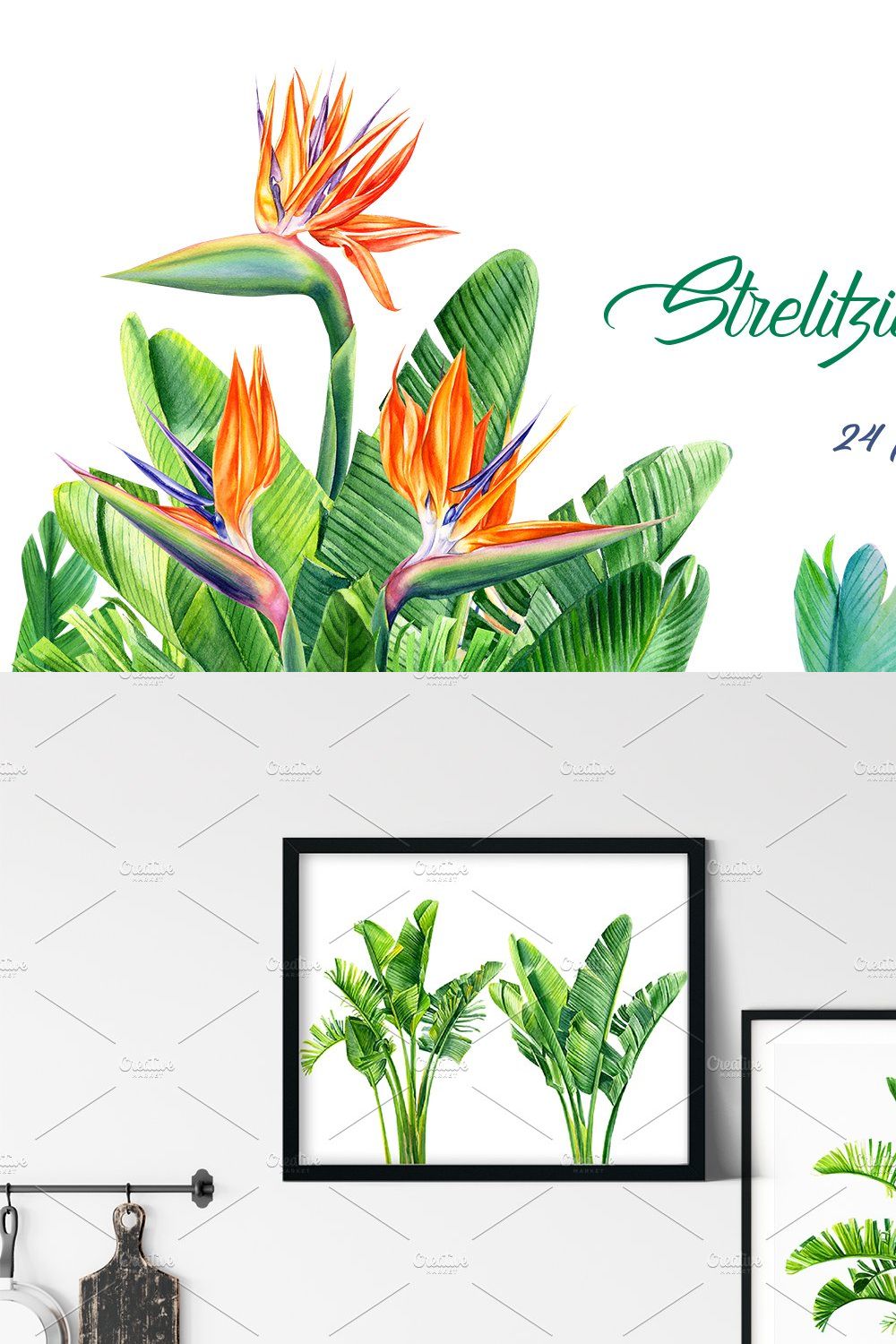 Strelitzia flowers and leaves pinterest preview image.