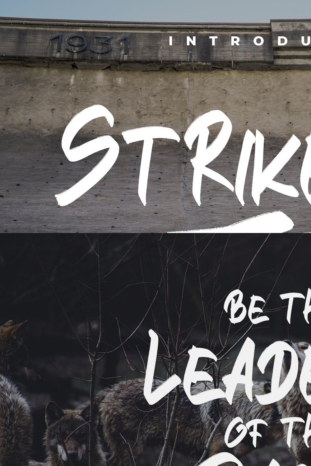 STRIKEOUT || Brush Font pinterest preview image.