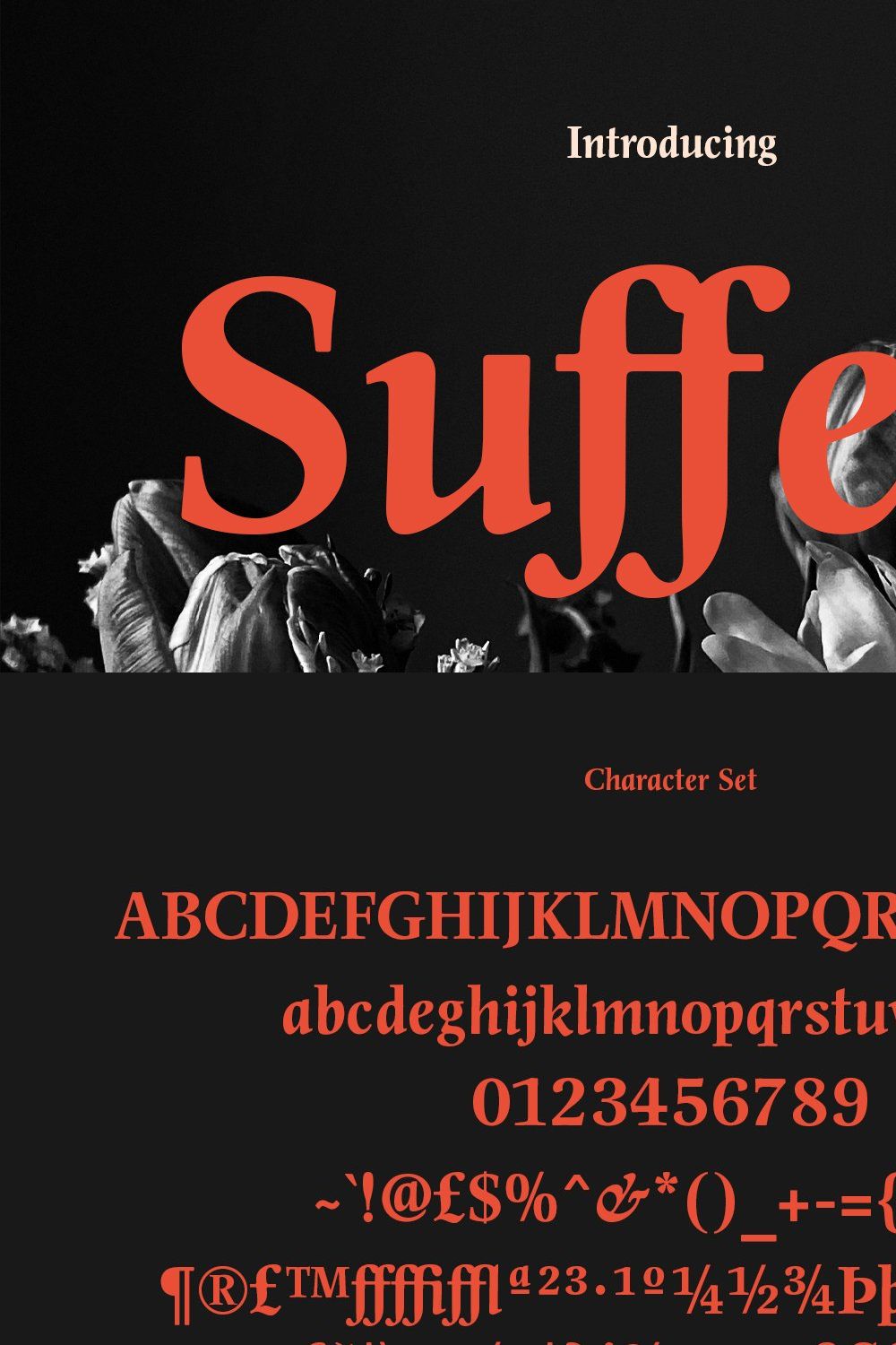 Suffely Classic Serif Font pinterest preview image.