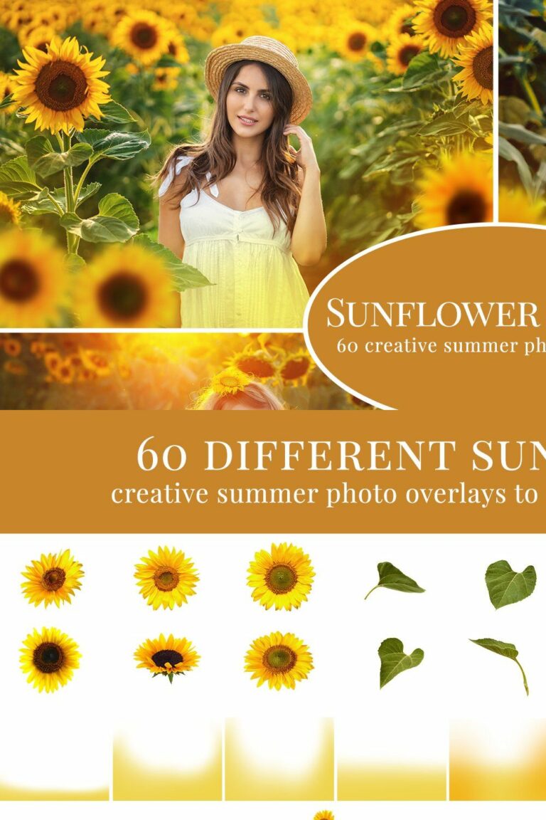 Sunflower Fields photo overlays – MasterBundles