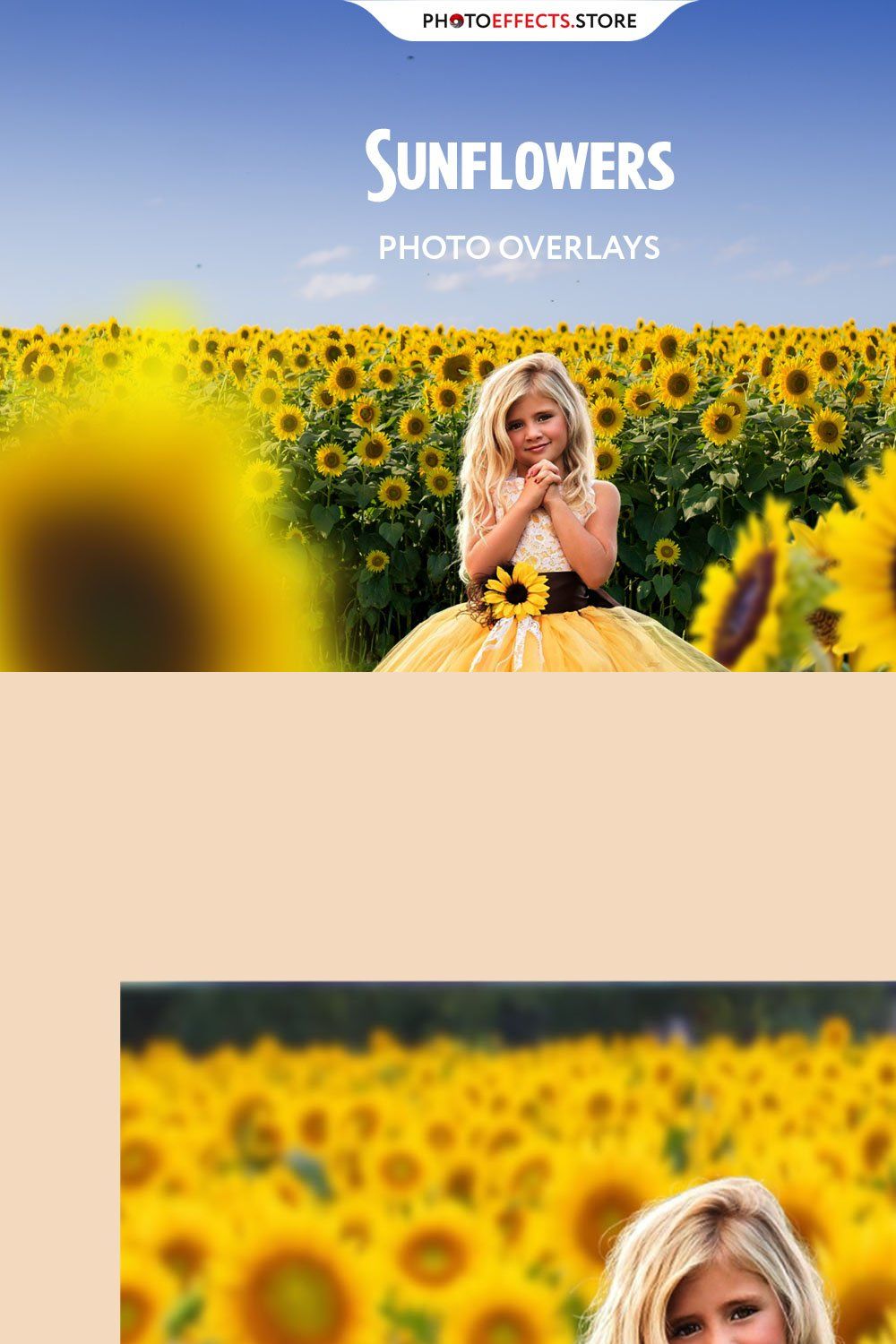 Sunflower Photo Overlays + Backdrops pinterest preview image.
