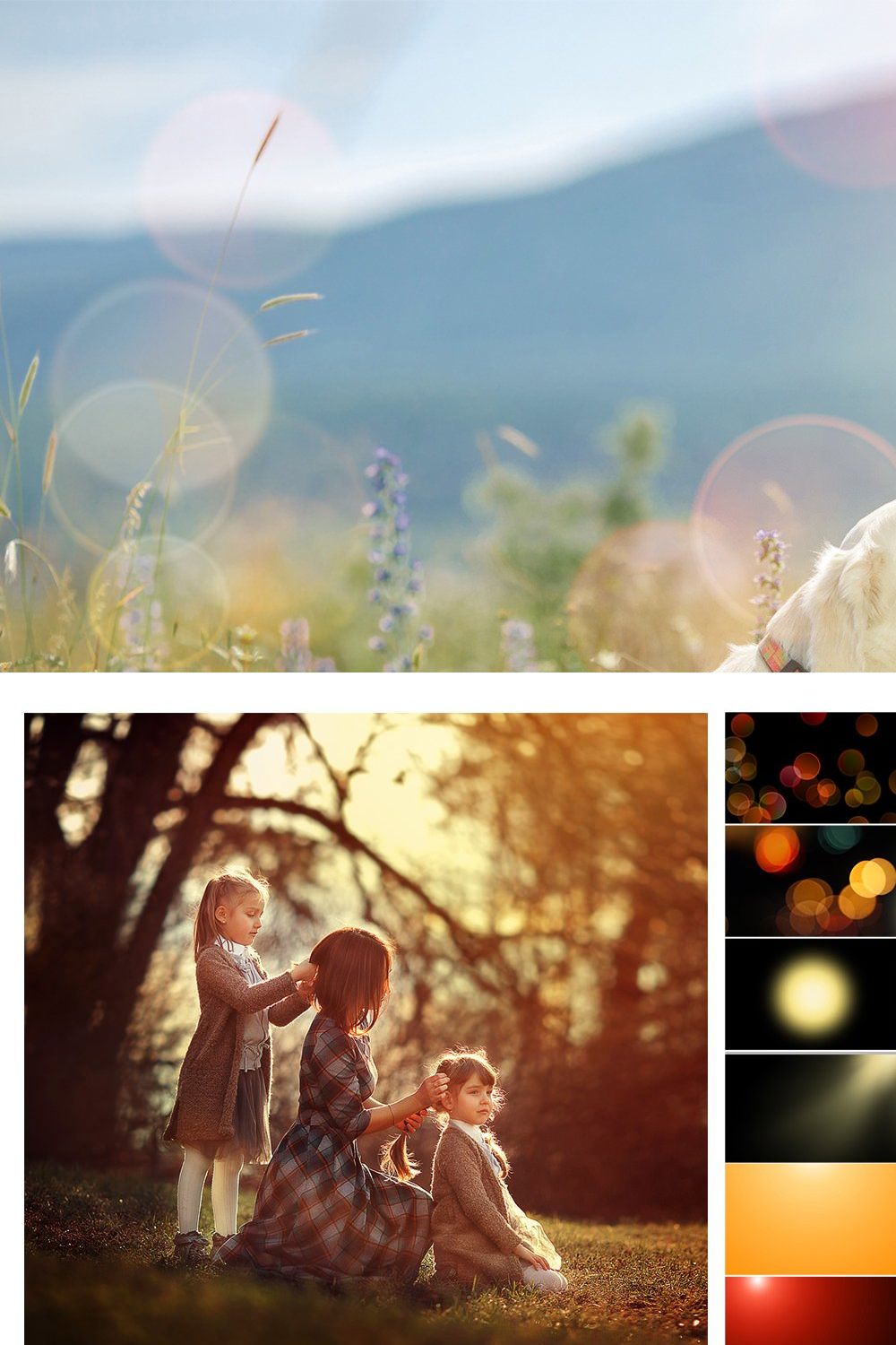 Sunlight Photo Overlays pinterest preview image.