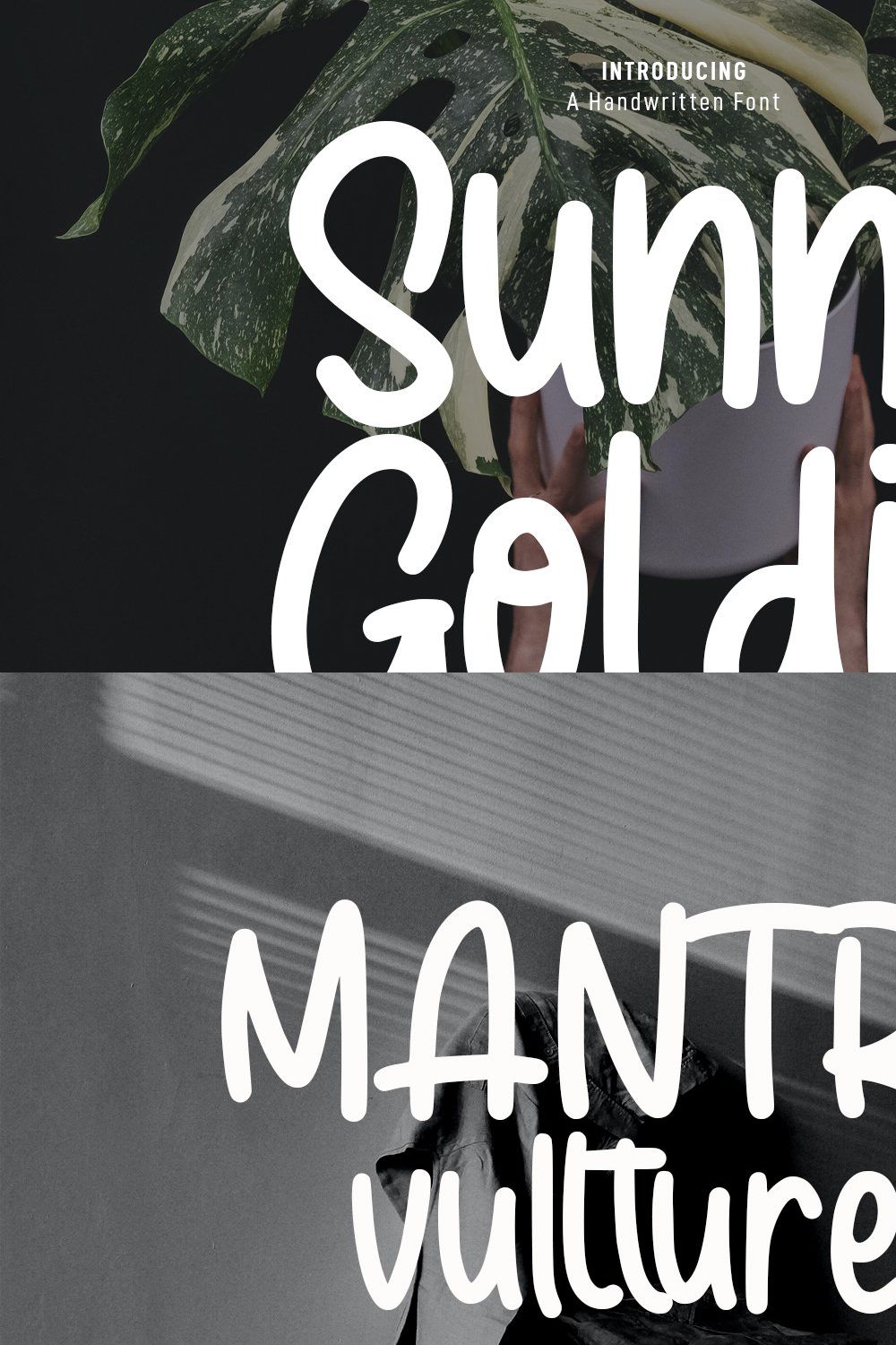 Sunny Goldie Handwritten Font pinterest preview image.