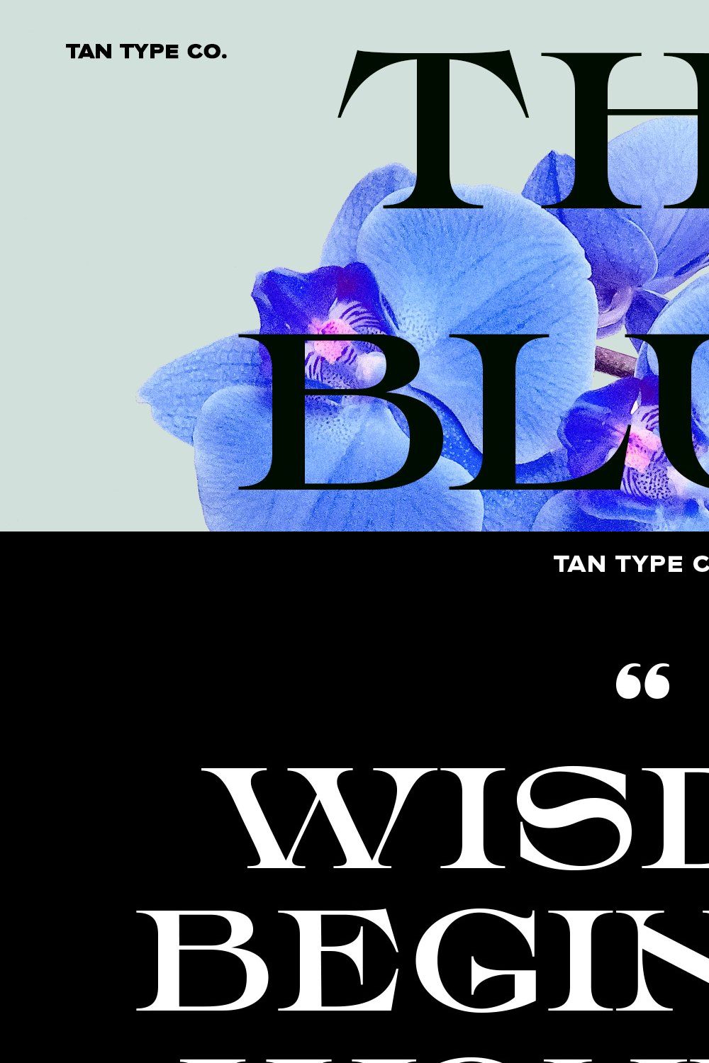 TAN - THE BLUE ORCHID pinterest preview image.