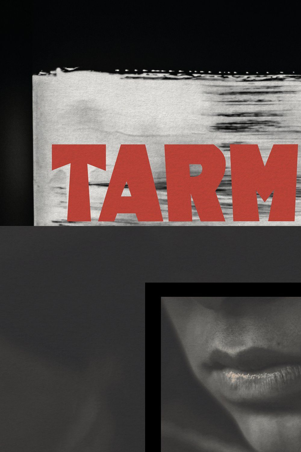 Tarmone - Sharp Blackletter Display pinterest preview image.