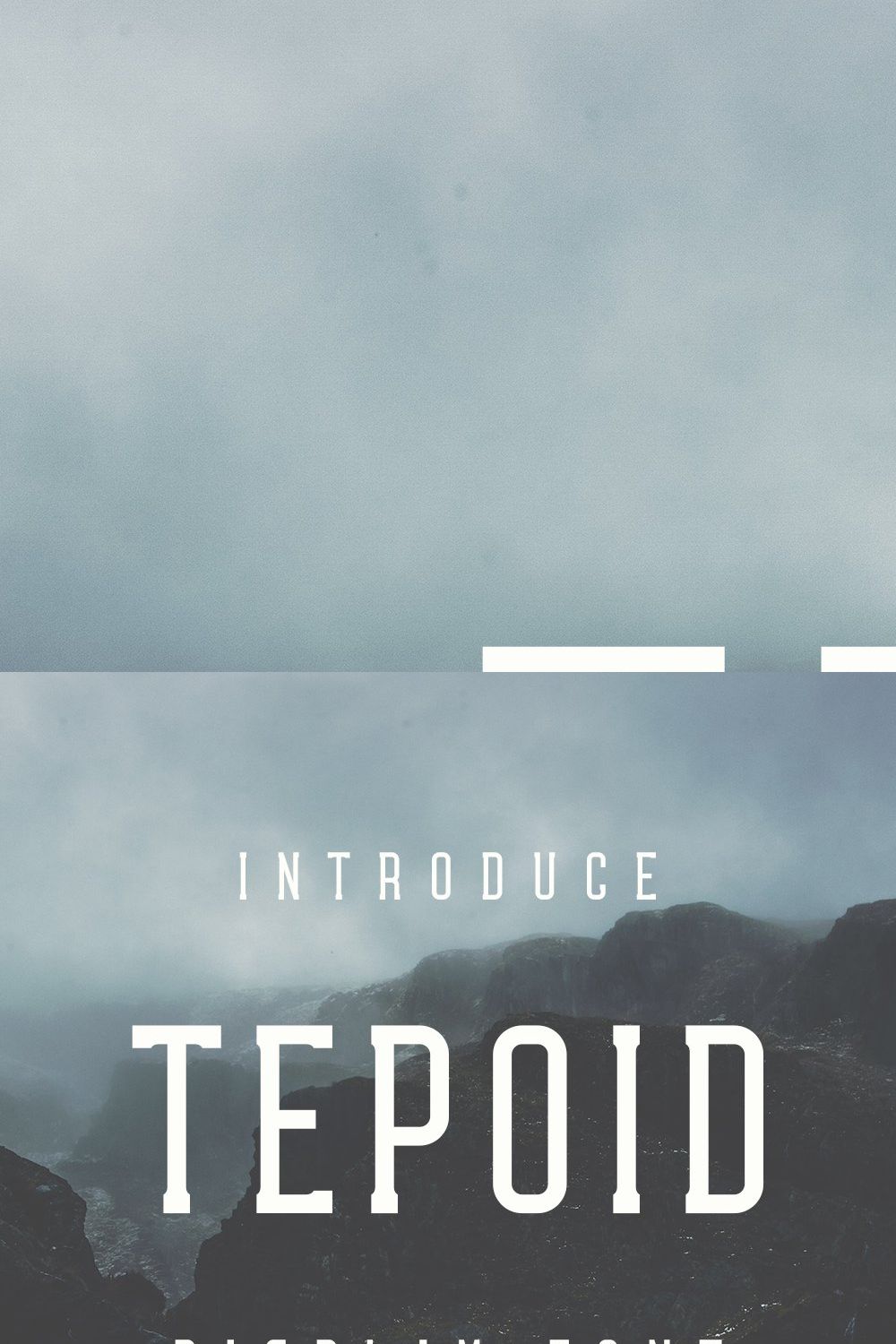 Tepoid pinterest preview image.