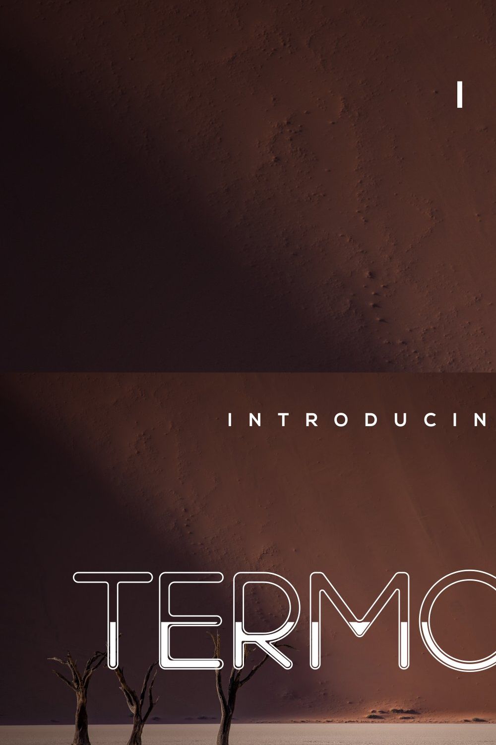 Termore pinterest preview image.
