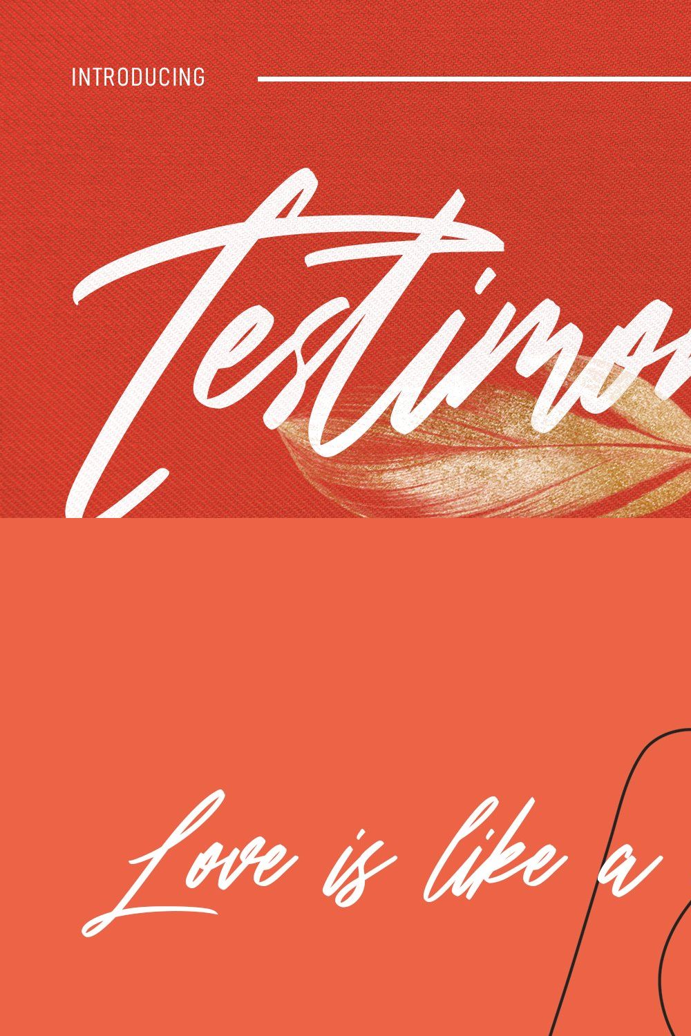 Testimoney Signature Font pinterest preview image.