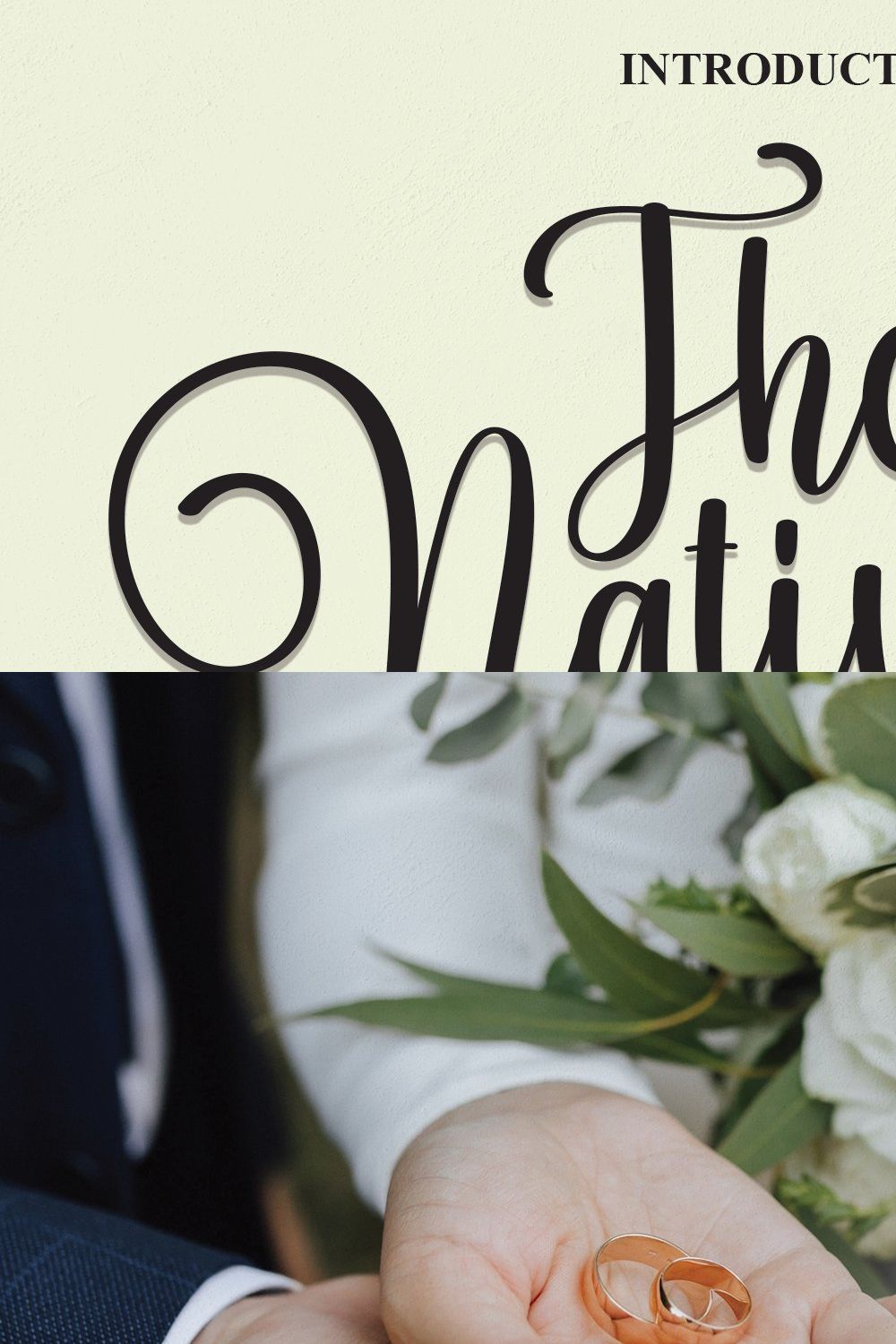 The Nativity | Script Font pinterest preview image.