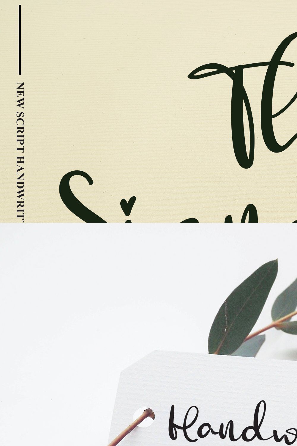 The Signature | Script Font pinterest preview image.