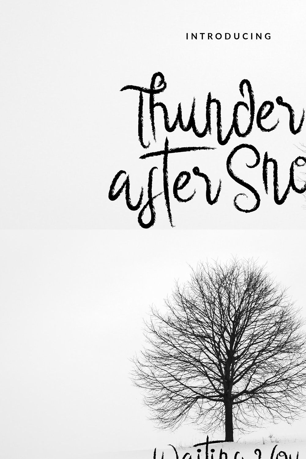 Thunder After Snow Brush Font pinterest preview image.