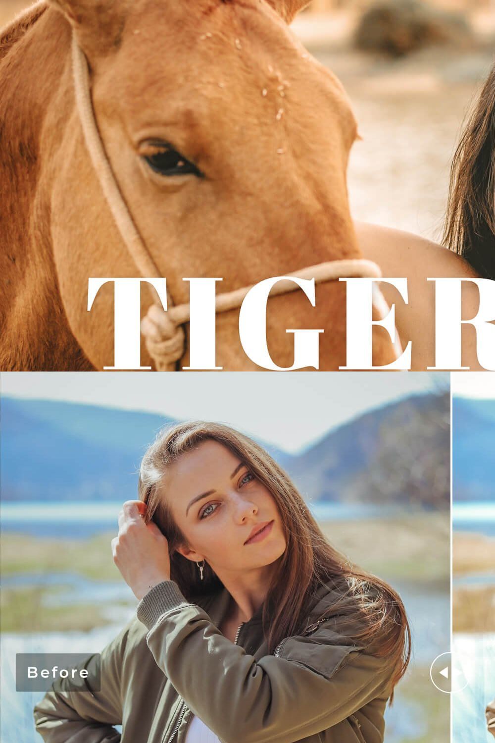 Tiger Eye Pro Lightroom Presets pinterest preview image.