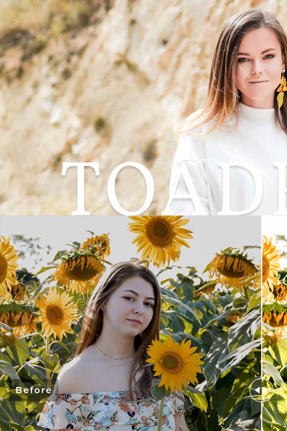 Toadflax Pro Lightroom Presets pinterest preview image.