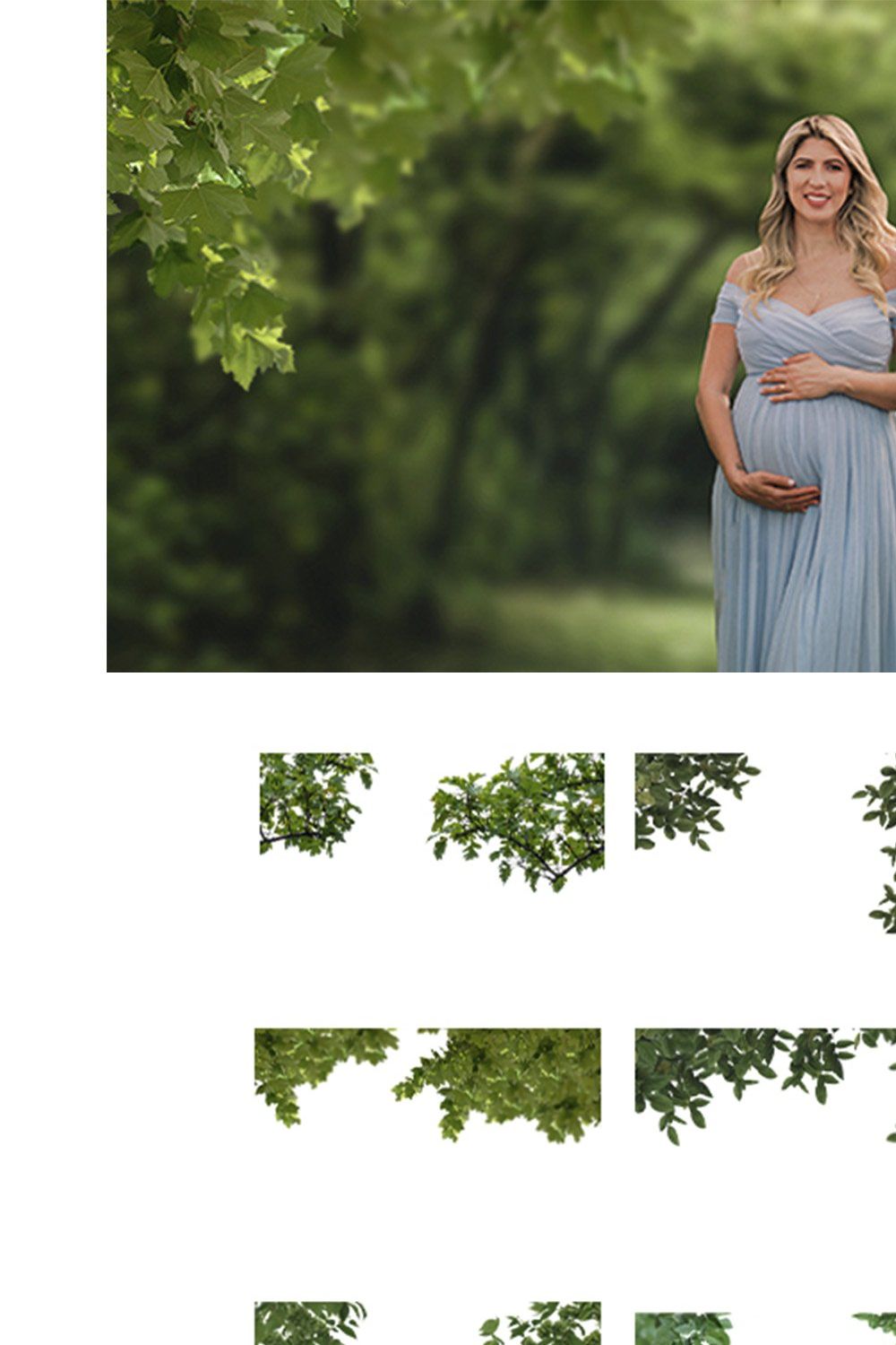 Tree Branch Overlays, PNG pinterest preview image.