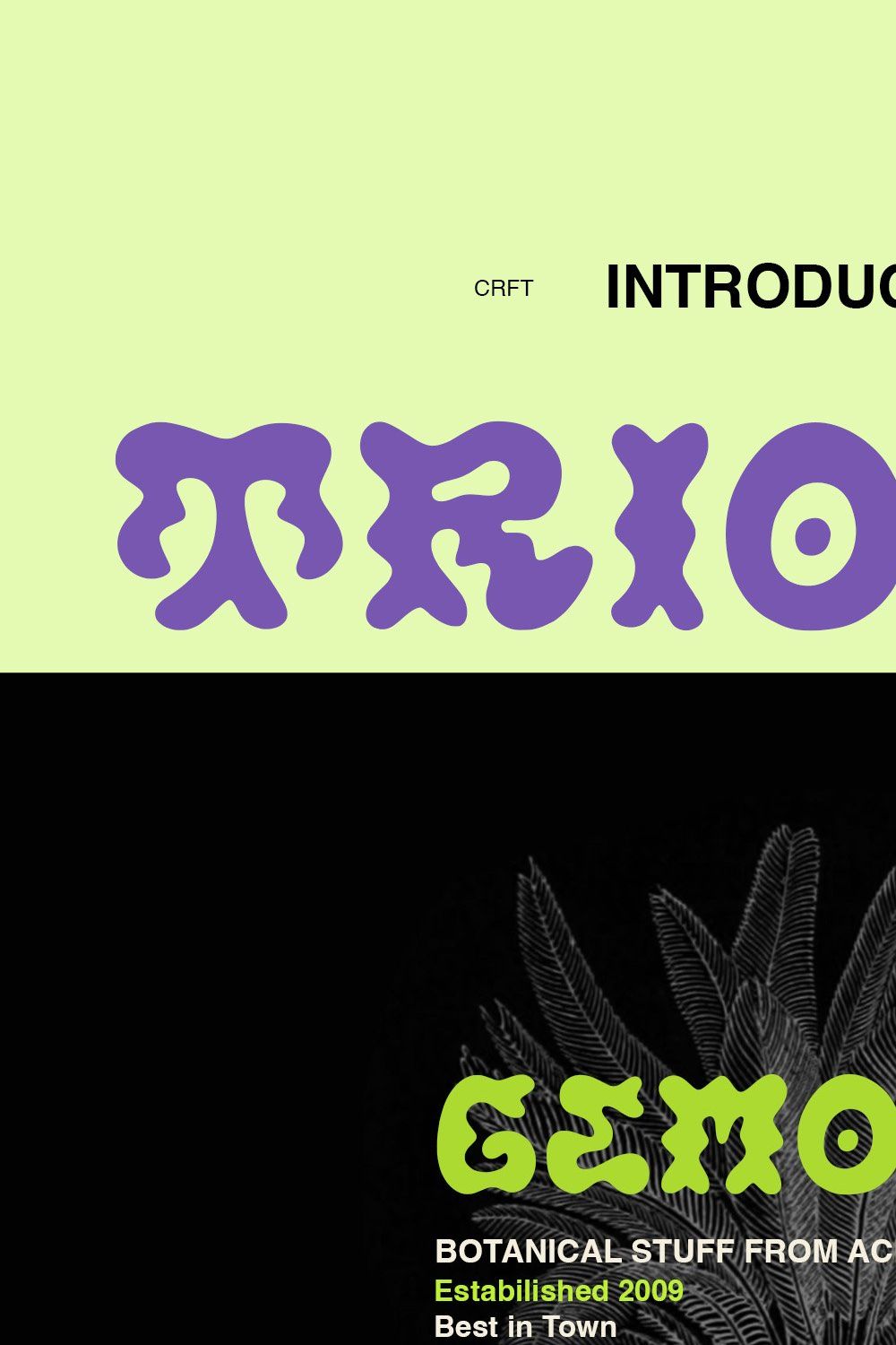 Triompe - Psychedelic Typeface pinterest preview image.