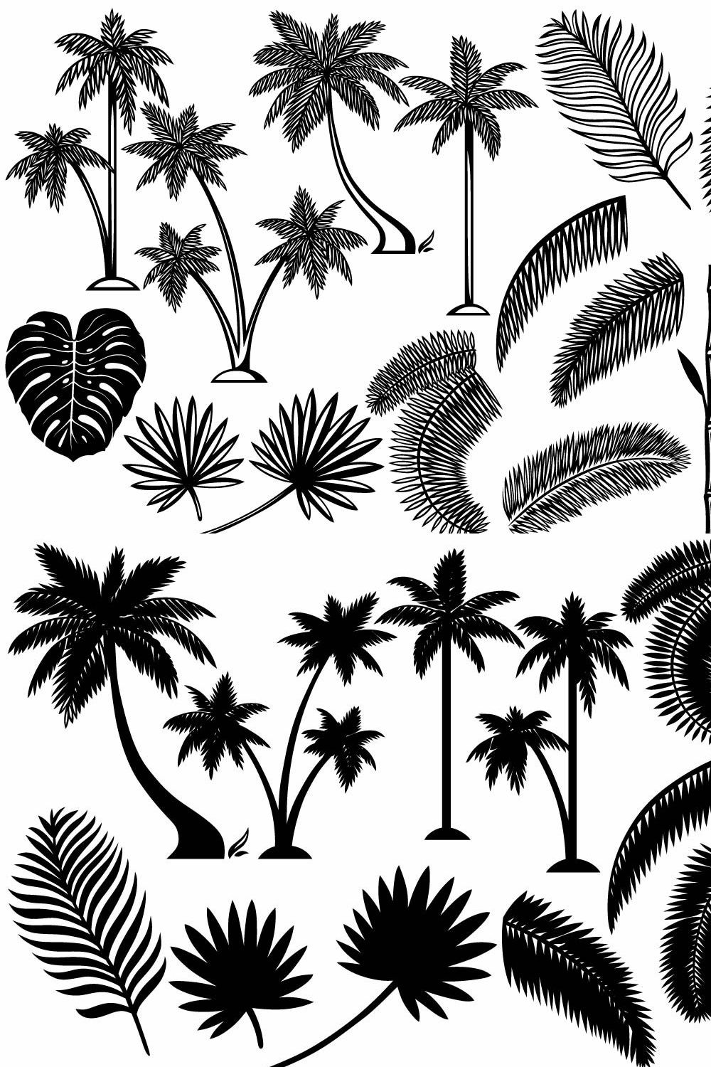 Tropical plants pinterest preview image.