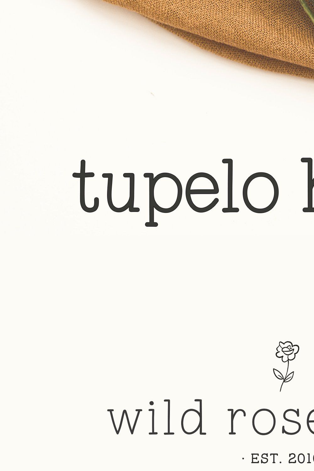 Tupelo Honey | A Charming Slab Serif pinterest preview image.