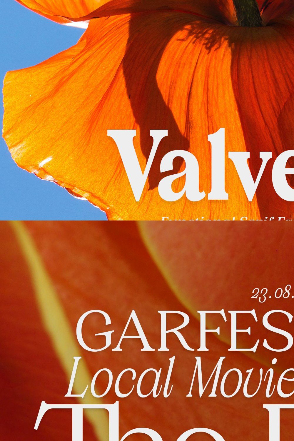 Valverde Functional Serif-36 Fonts pinterest preview image.