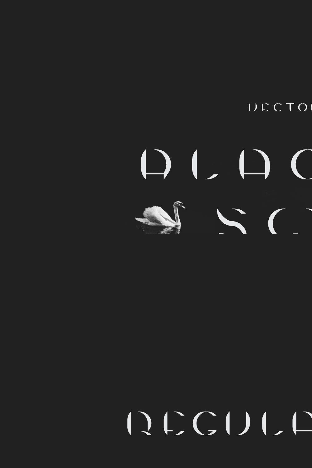 Vector Alphabet. Black Swan pinterest preview image.