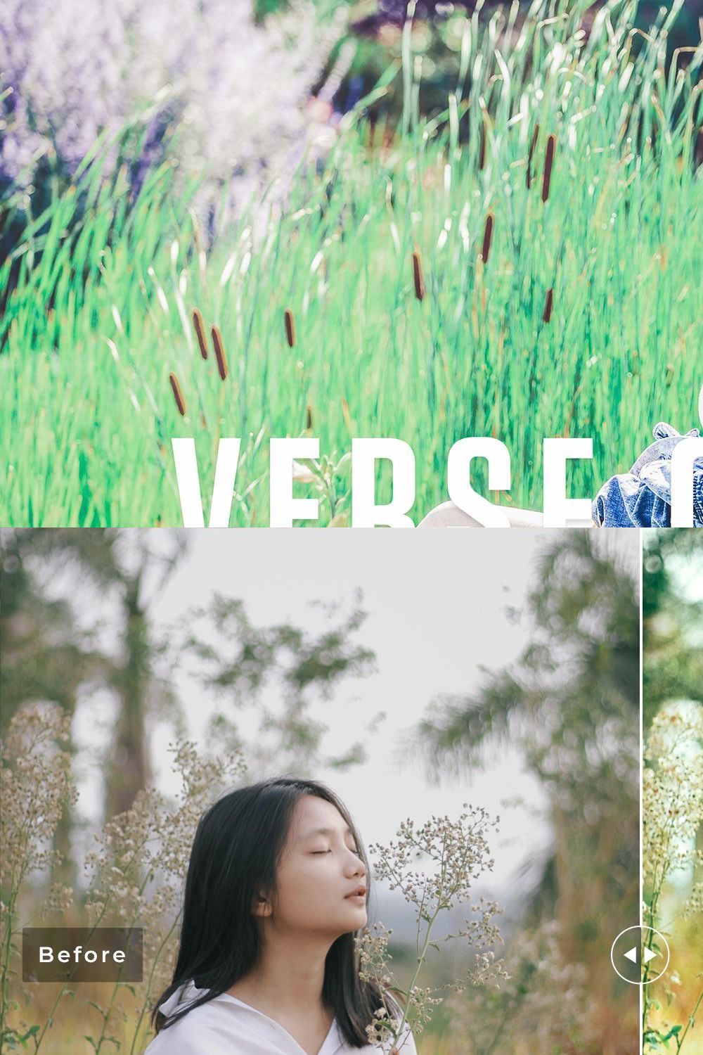 Verse Green Pro Lightroom Presets pinterest preview image.