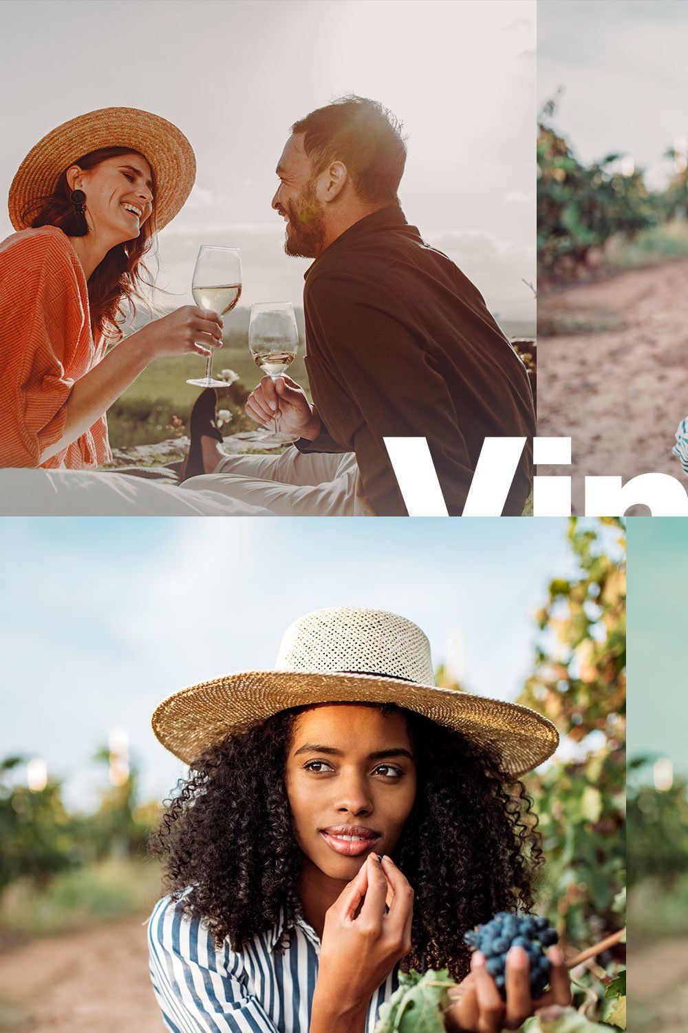 Vineyard Lightroom Presets and LUTs pinterest preview image.