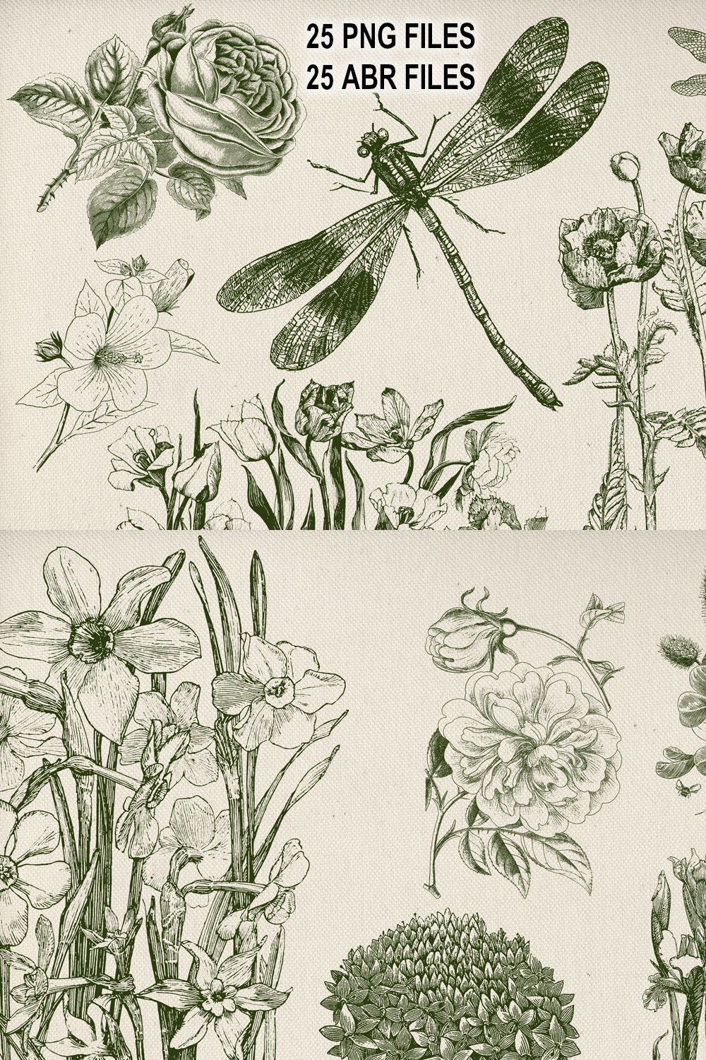 Vintage Floral & Dragonflies Brushes pinterest preview image.