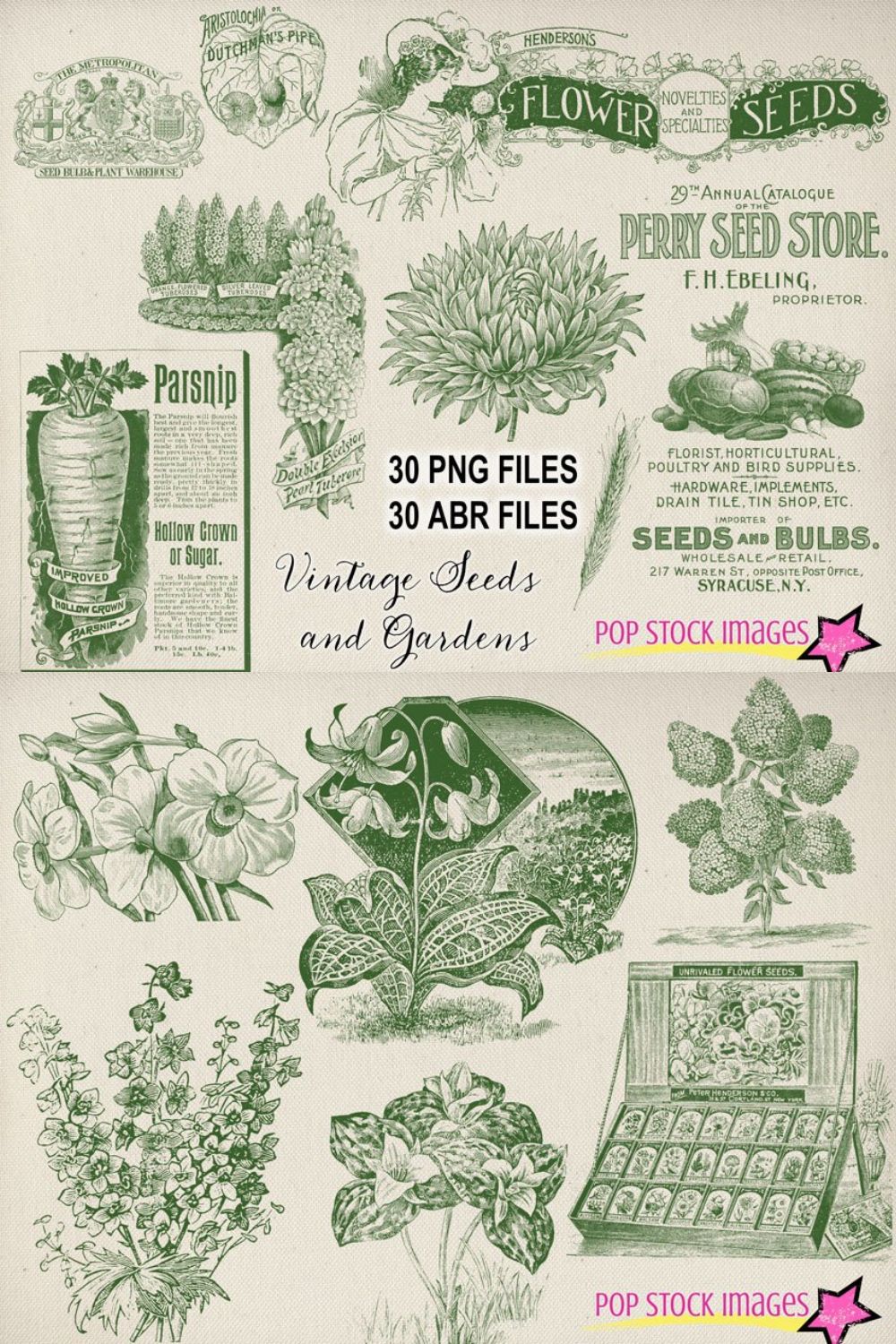 Vintage Garden & Seeds Brushes Set pinterest preview image.