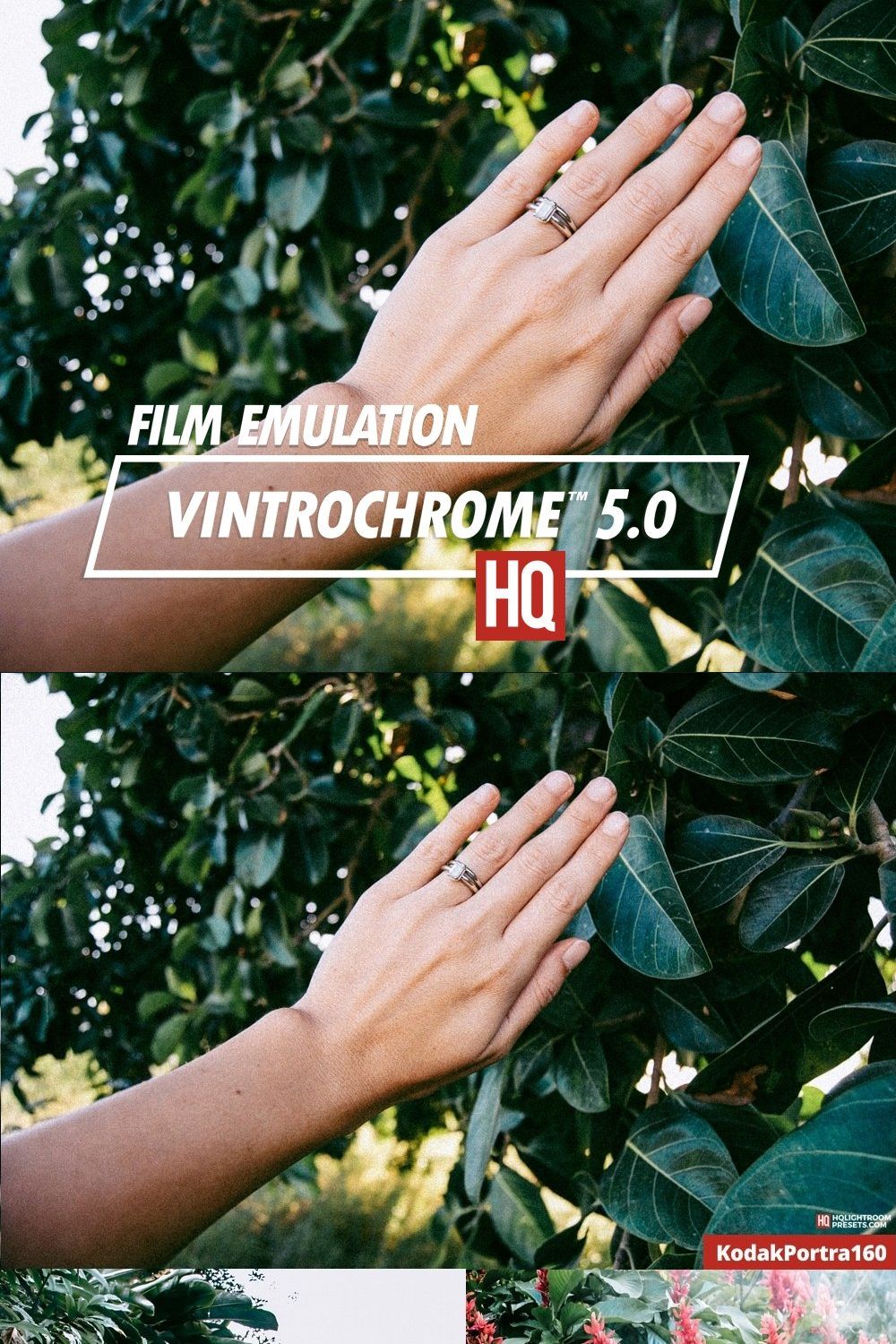 Vintrochrome 5.0 | Film Emulation pinterest preview image.