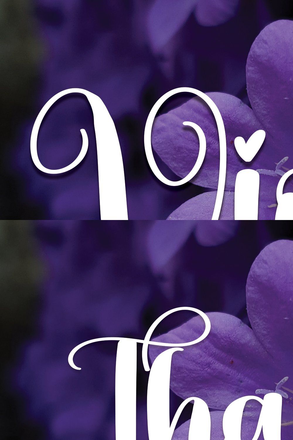 Violet | Script Font pinterest preview image.