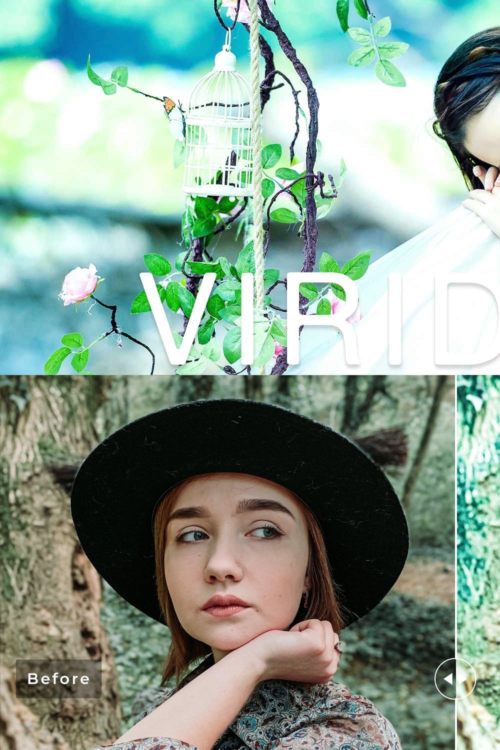 Viridian Pro Lightroom Presets pinterest preview image.