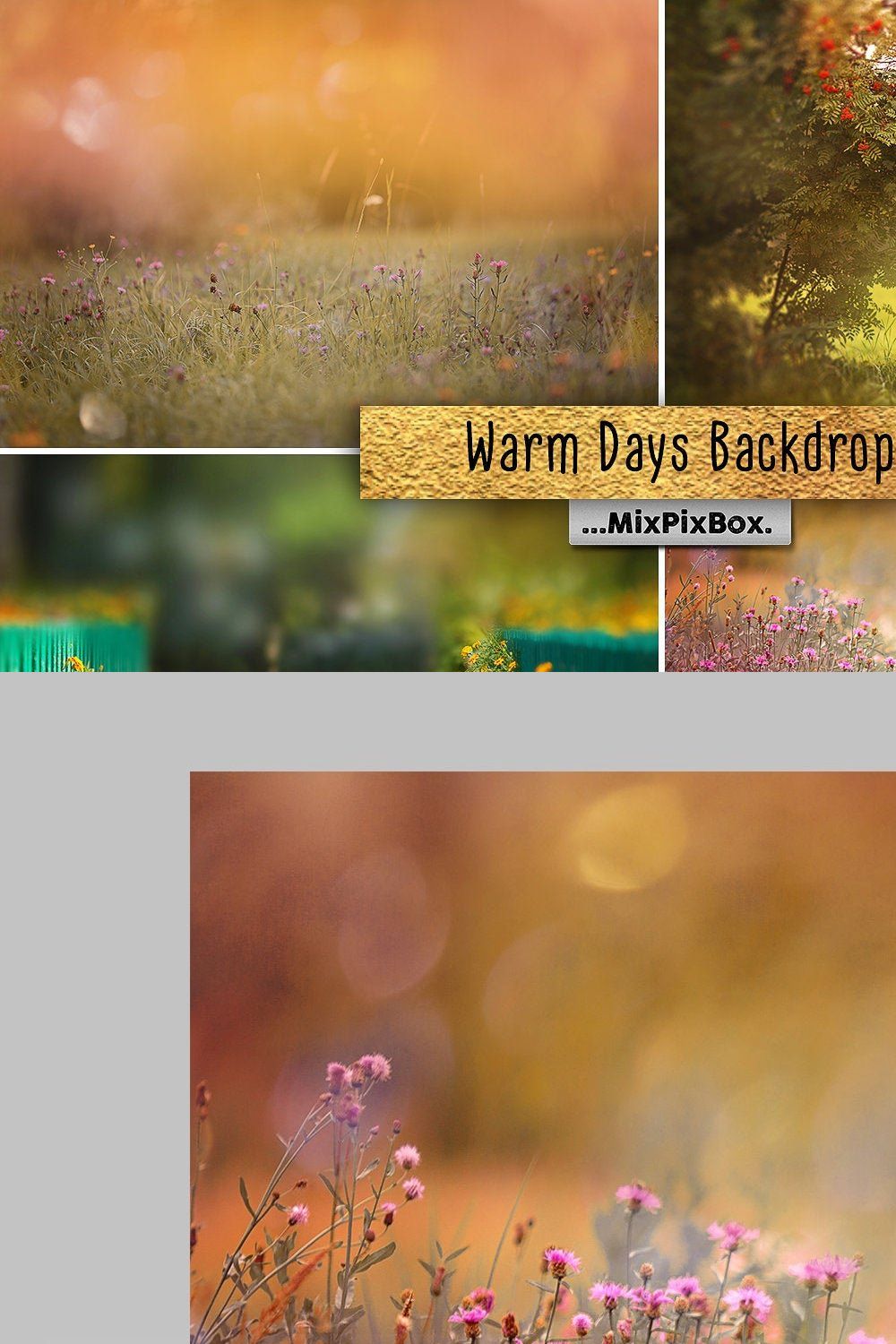Warm Days Backdrop pinterest preview image.