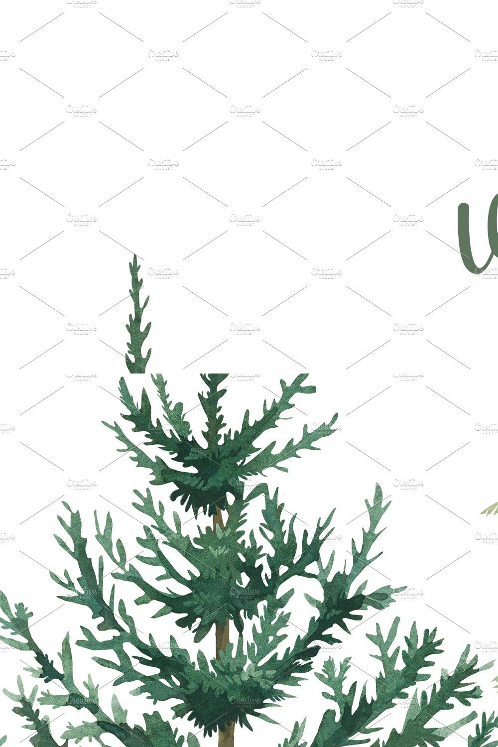 Watercolor Christmas Pine Tree PNG pinterest preview image.