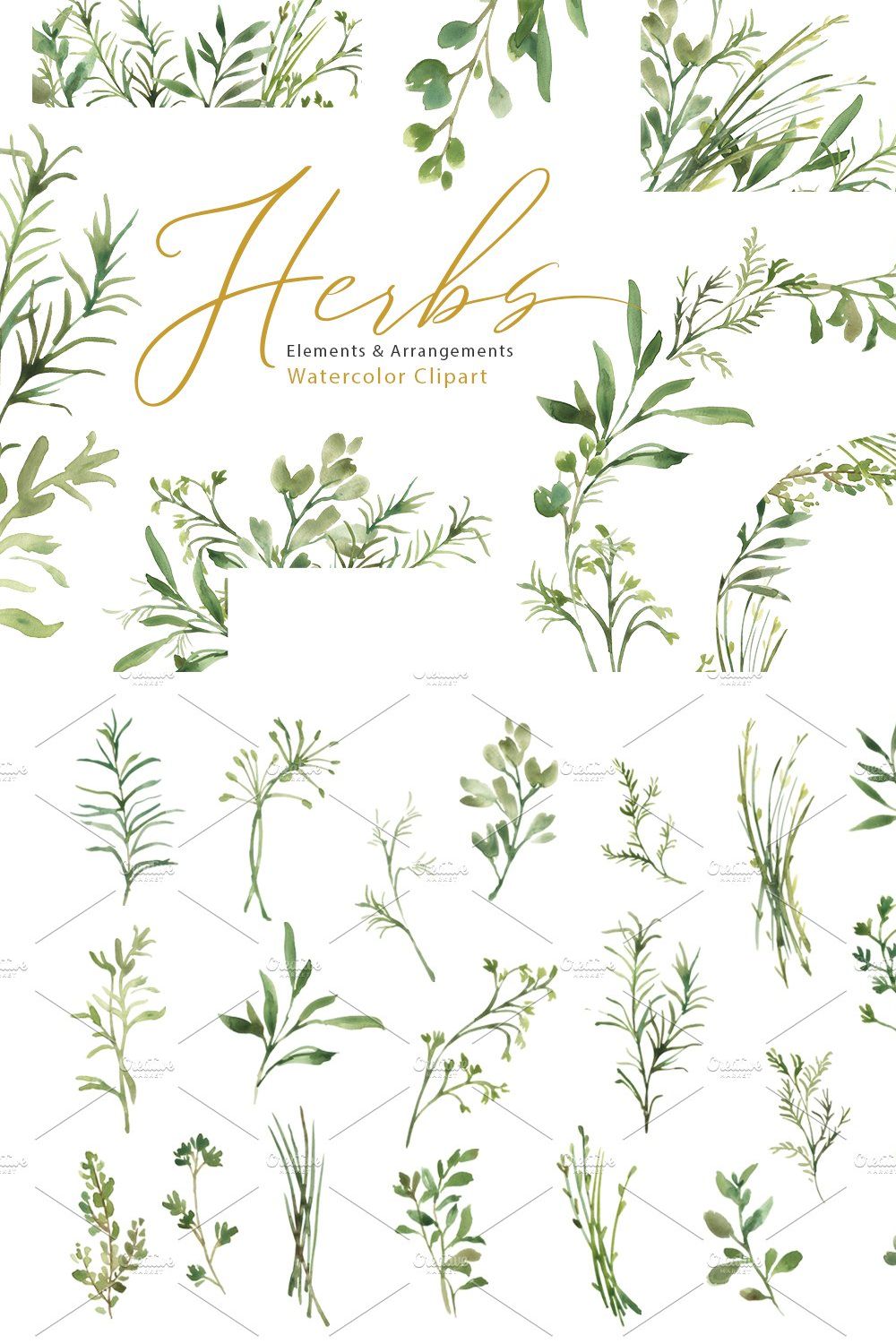 Watercolor Greenery Herbs Leaves PNG pinterest preview image.