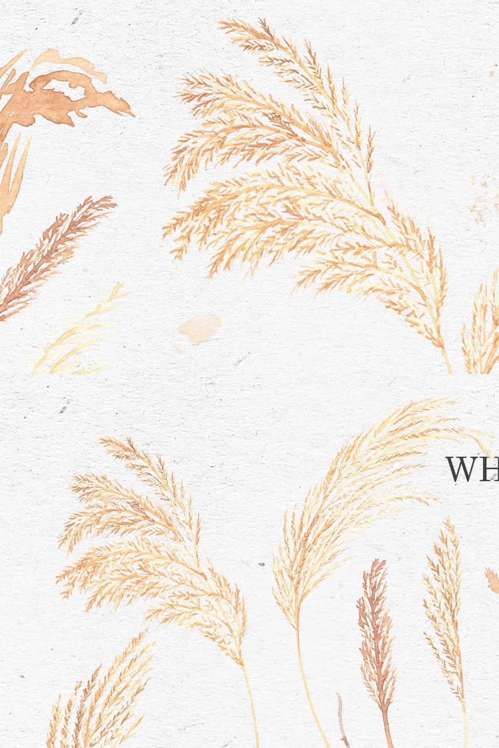WATERCOLOR PAMPAS GRASS / png vector pinterest preview image.