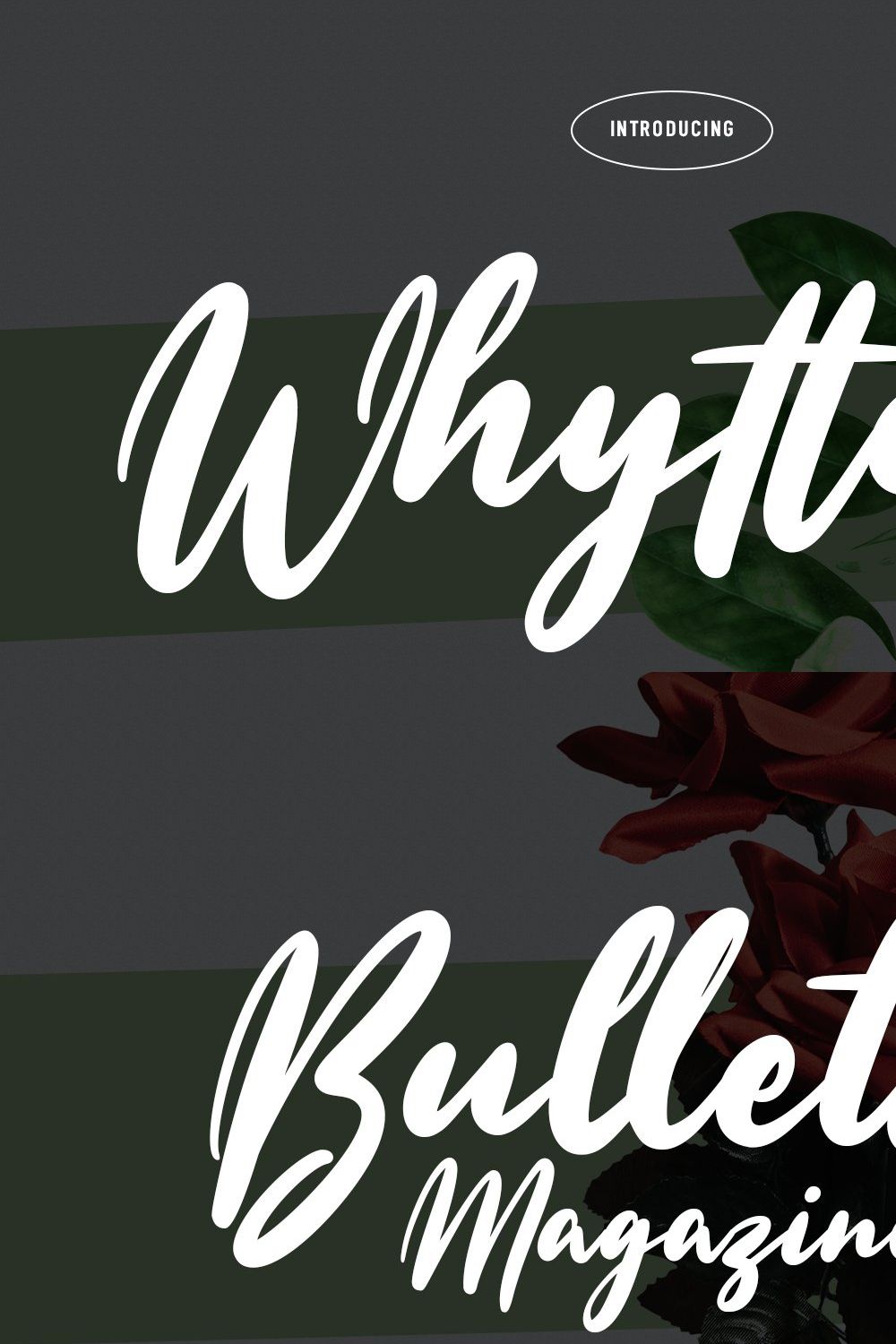 Whytters Script Font pinterest preview image.