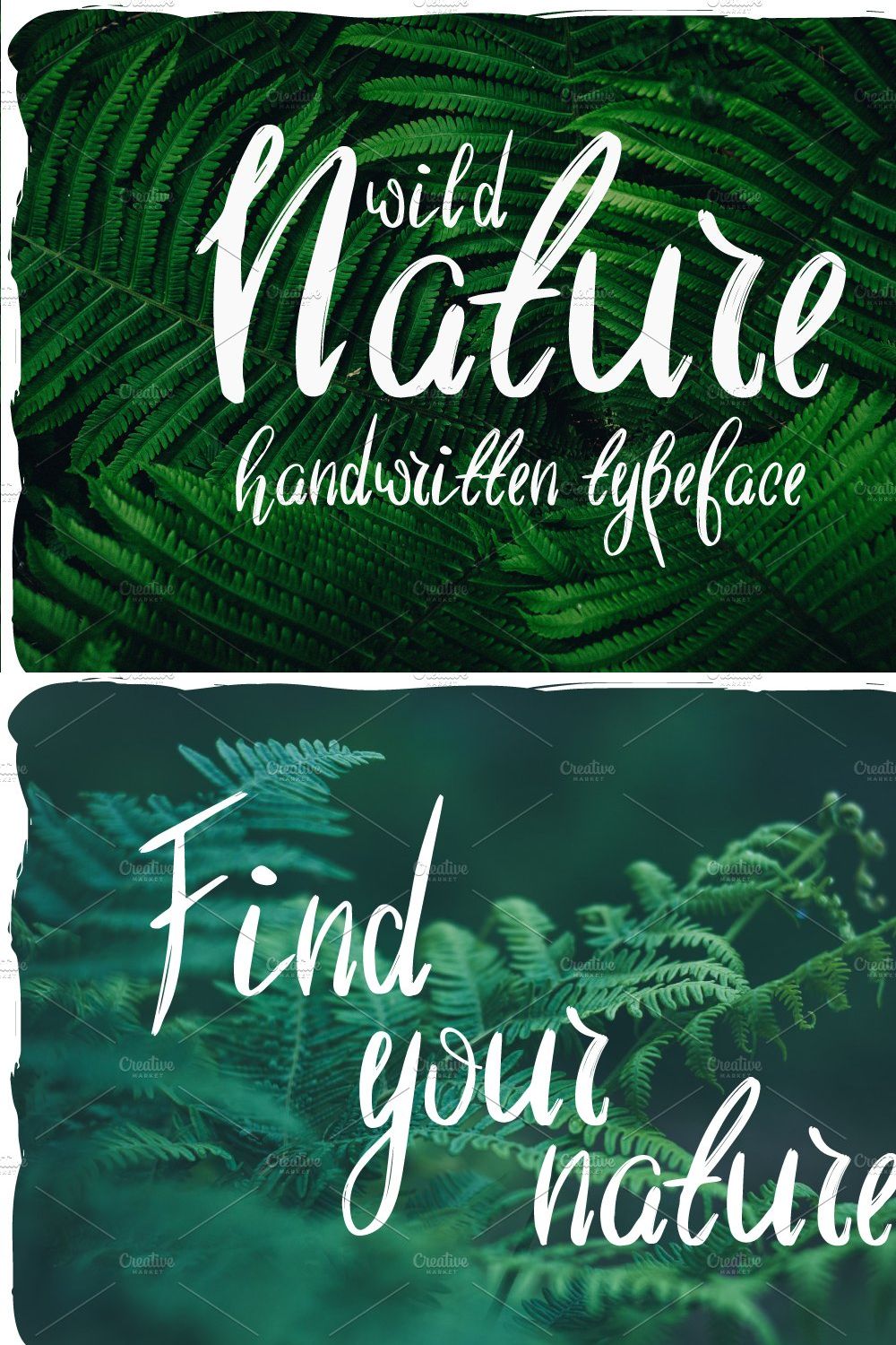 Wild Nature Script Typeface pinterest preview image.