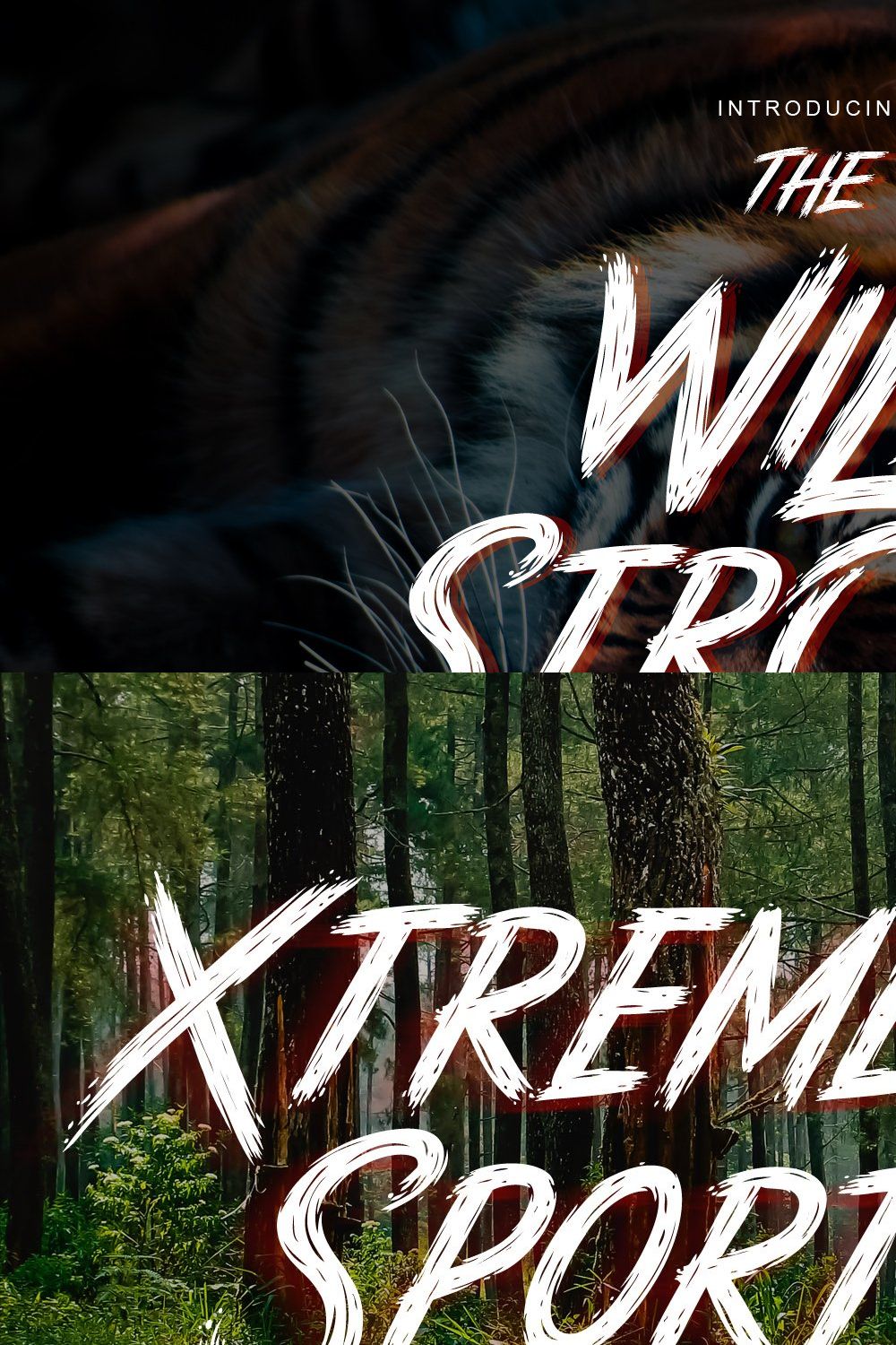 Wild Strokes pinterest preview image.