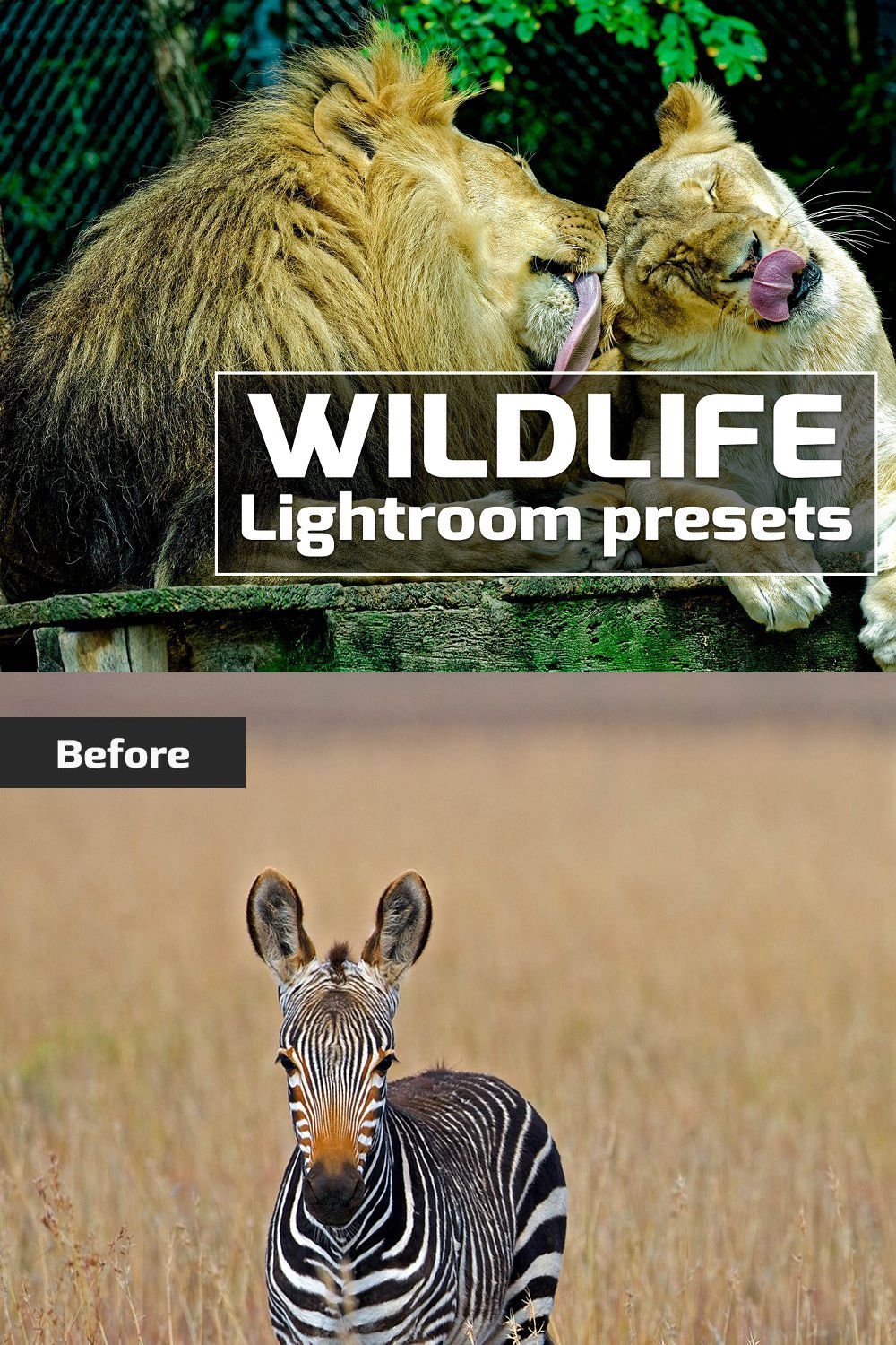 Wildlife Lightroom Presets pinterest preview image.