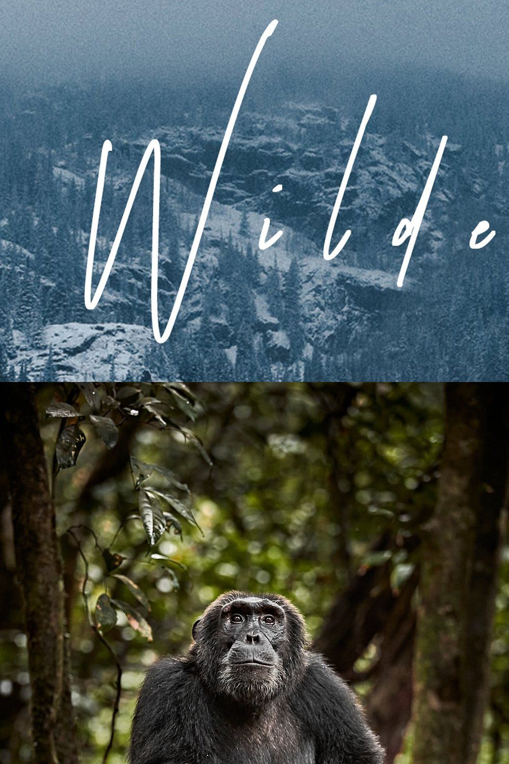 WILDRENESS || Cinematic Preset Pack pinterest preview image.