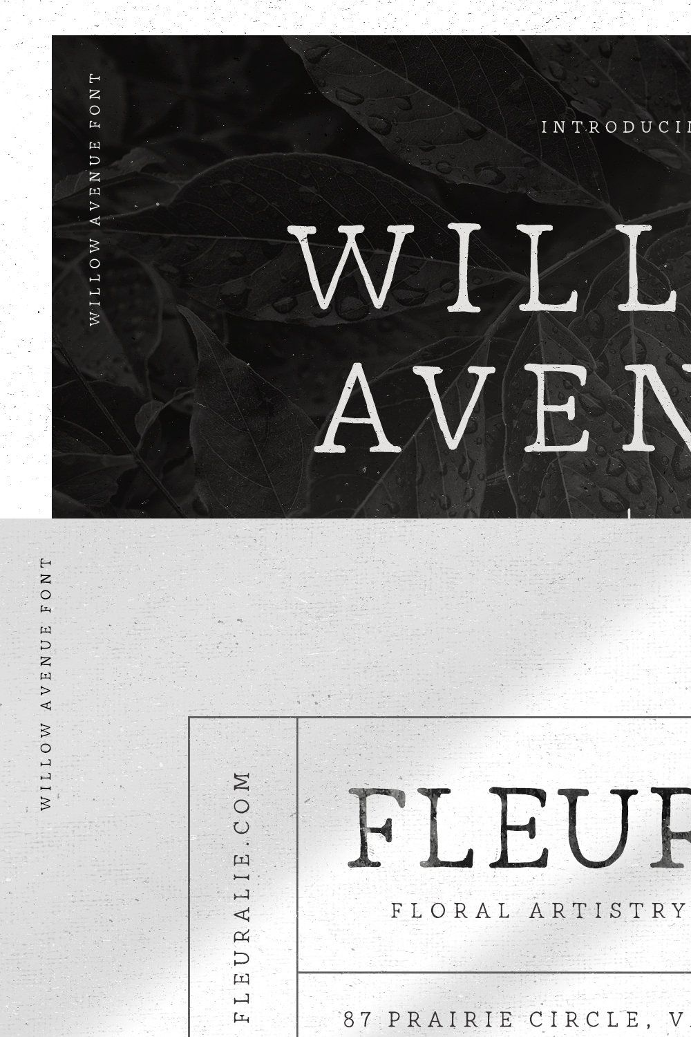 Willow Avenue | Hand lettered Serif pinterest preview image.