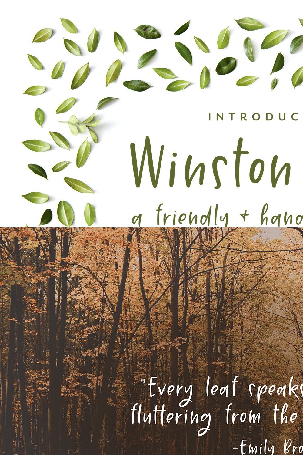 Winston Park | A Handwritten Font pinterest preview image.