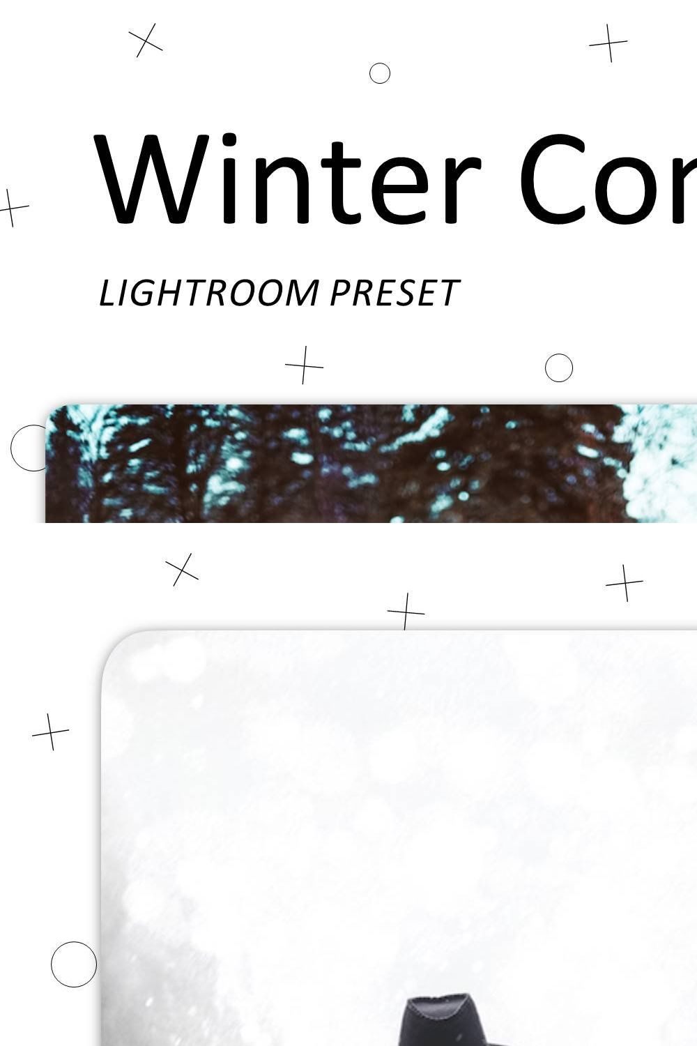 Winter Composition Lightroom Presets pinterest preview image.