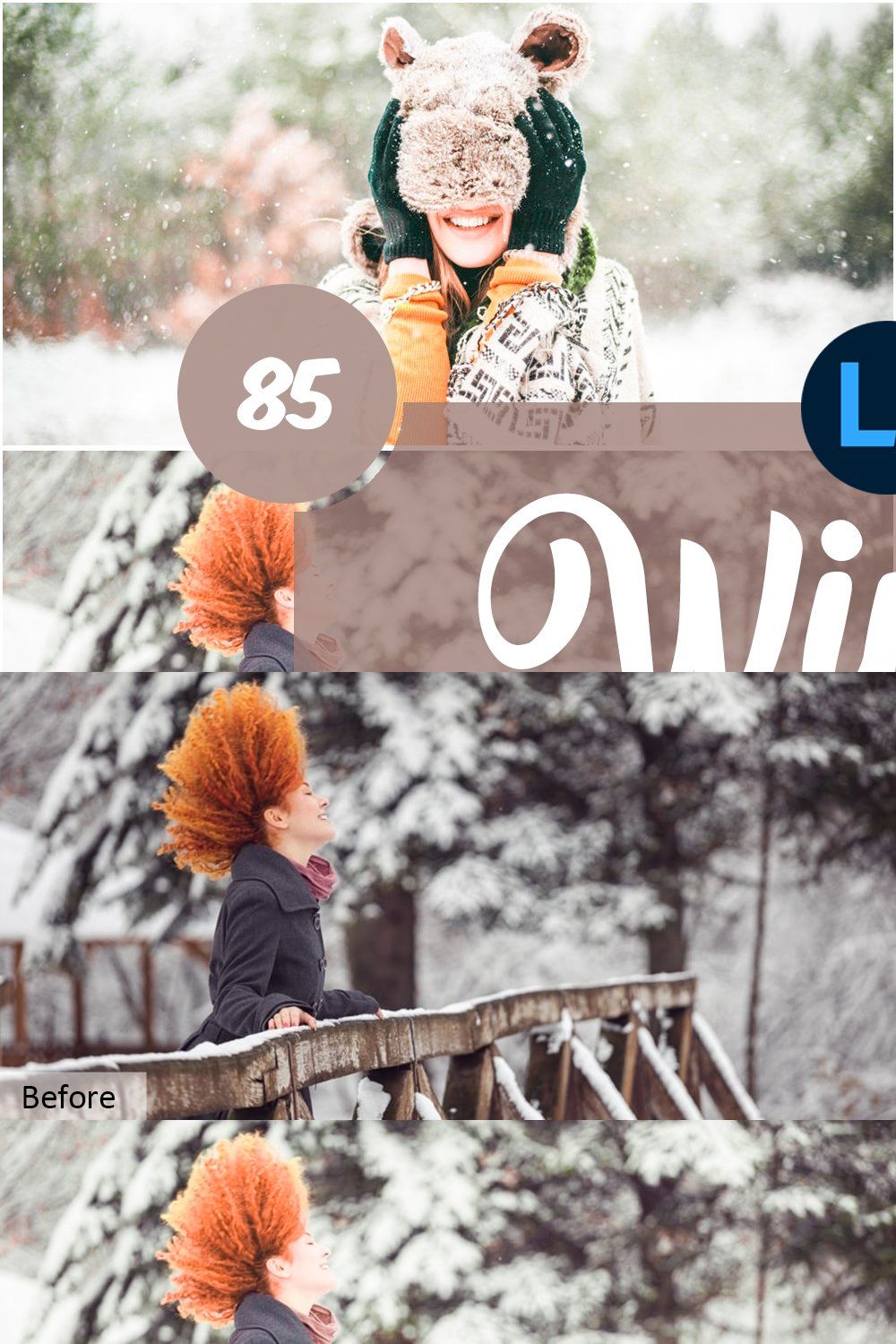 Winter Mobile and Desktop PRESETS pinterest preview image.