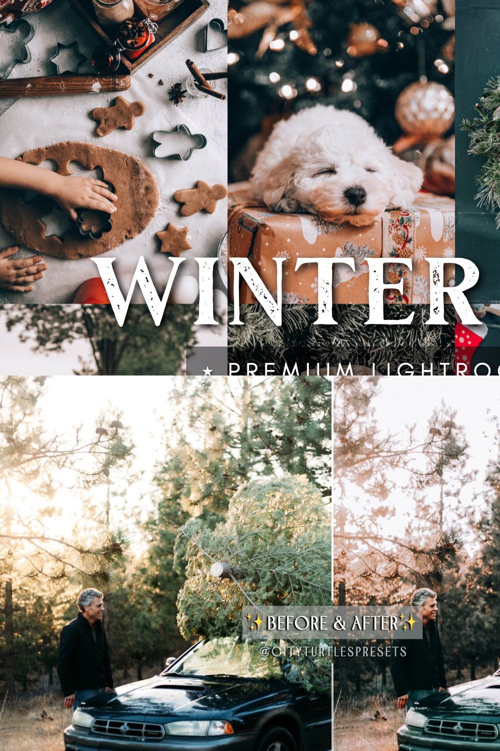 Winter Moody Lightroom Presets pinterest preview image.