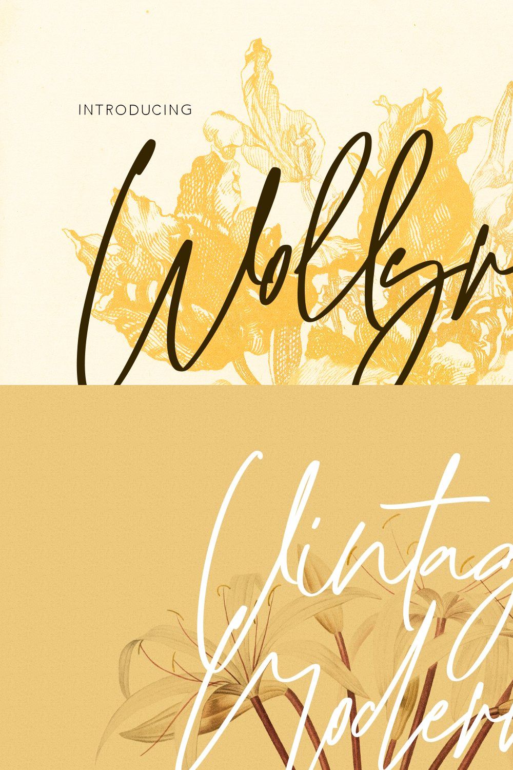 Wollyroots Signature Script Font pinterest preview image.