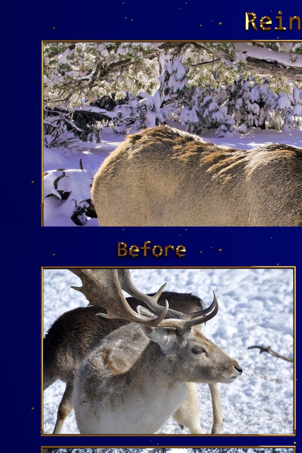 XMAS - Reindeer Lr Presets pinterest preview image.